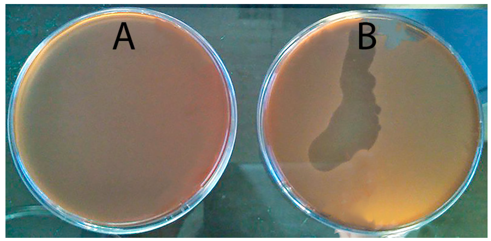 Antibiotics 07 00021 g001