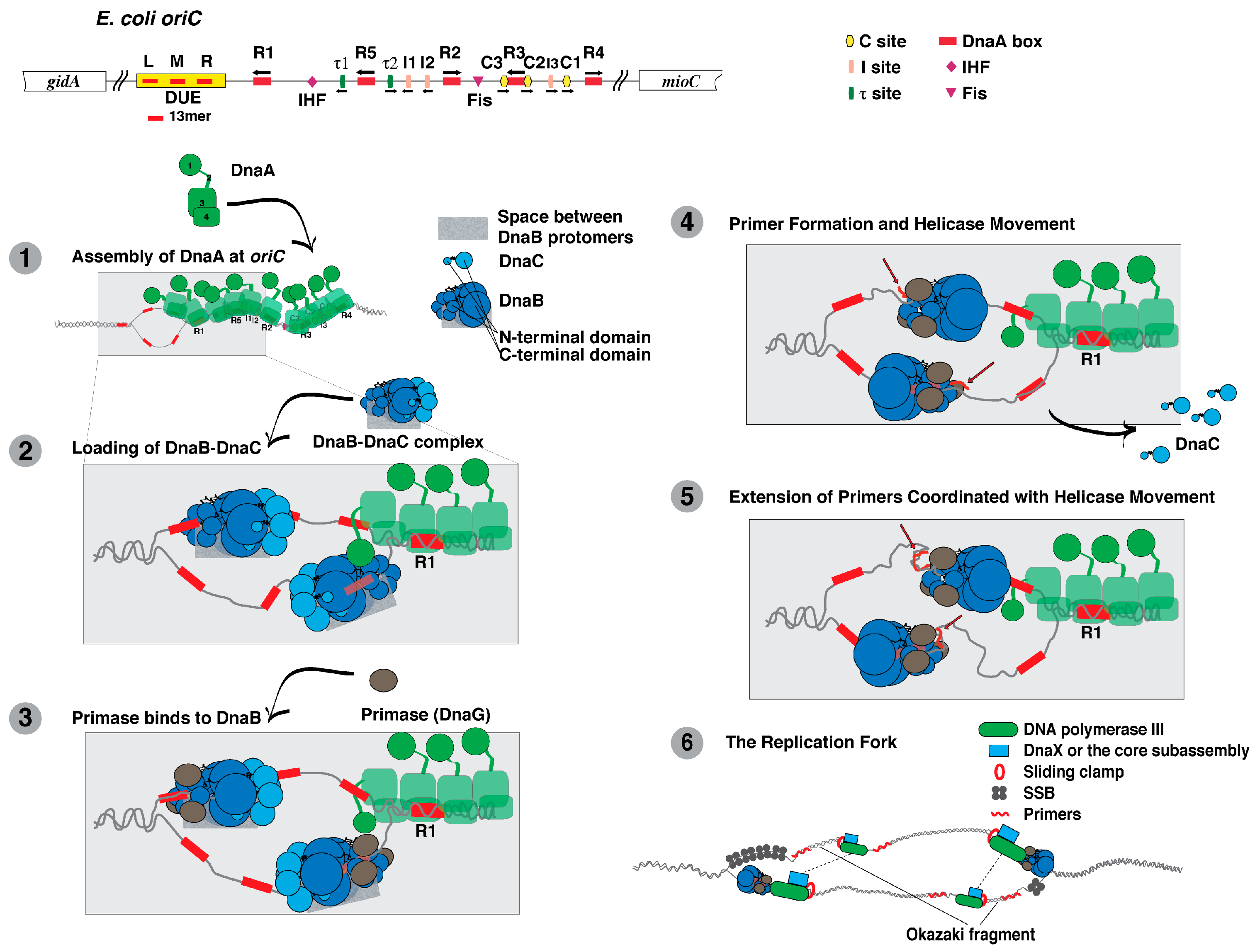 Antibiotics 07 00023 g001