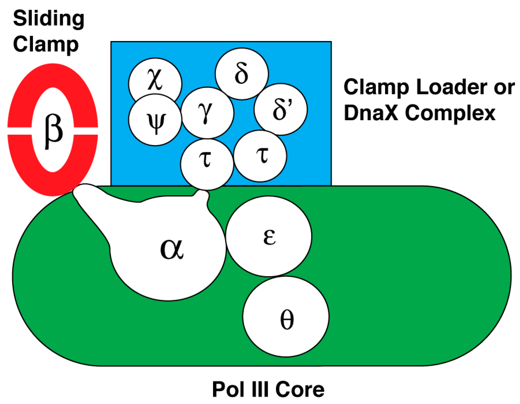 Antibiotics 07 00023 g002