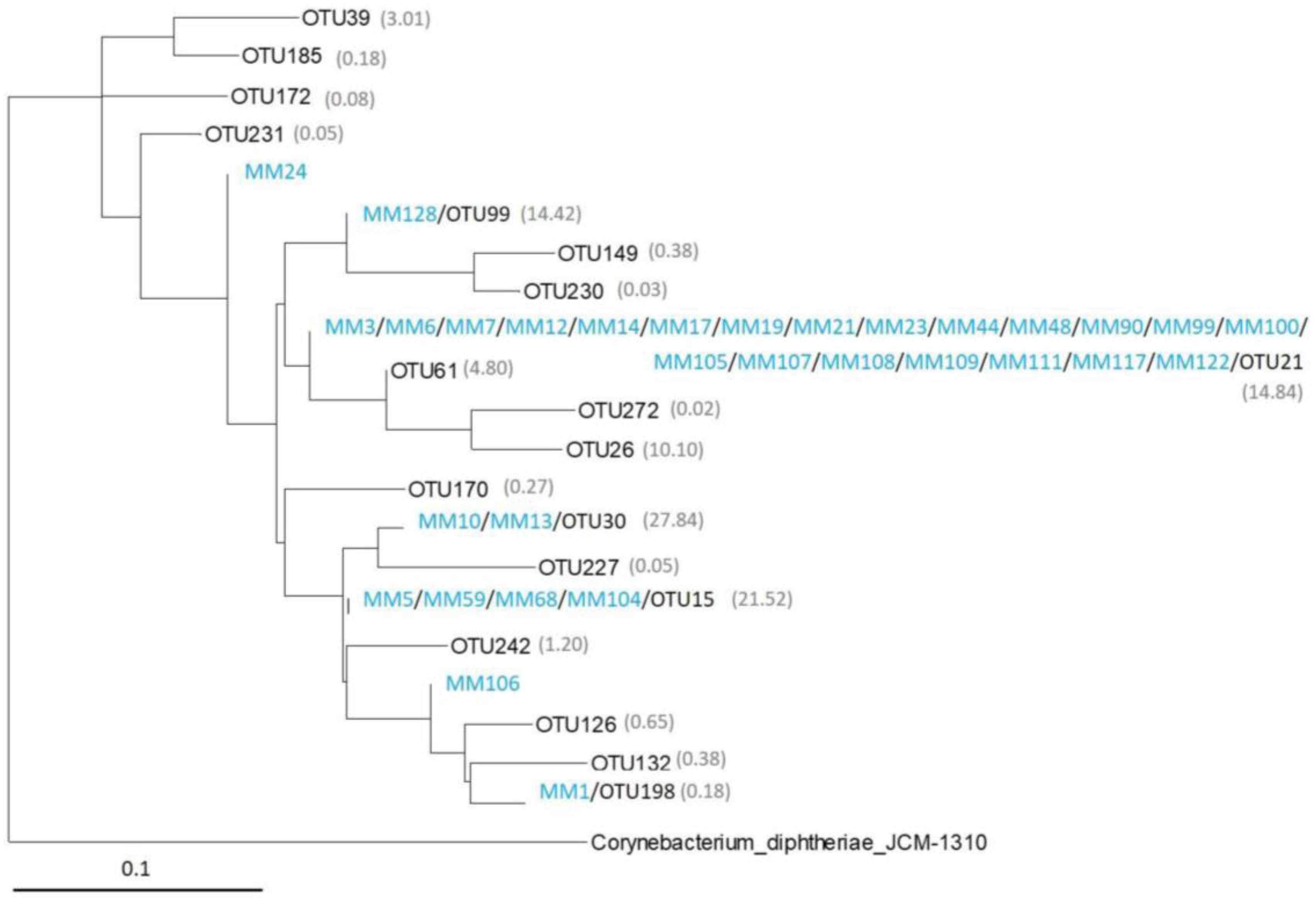 Antibiotics 07 00027 g004