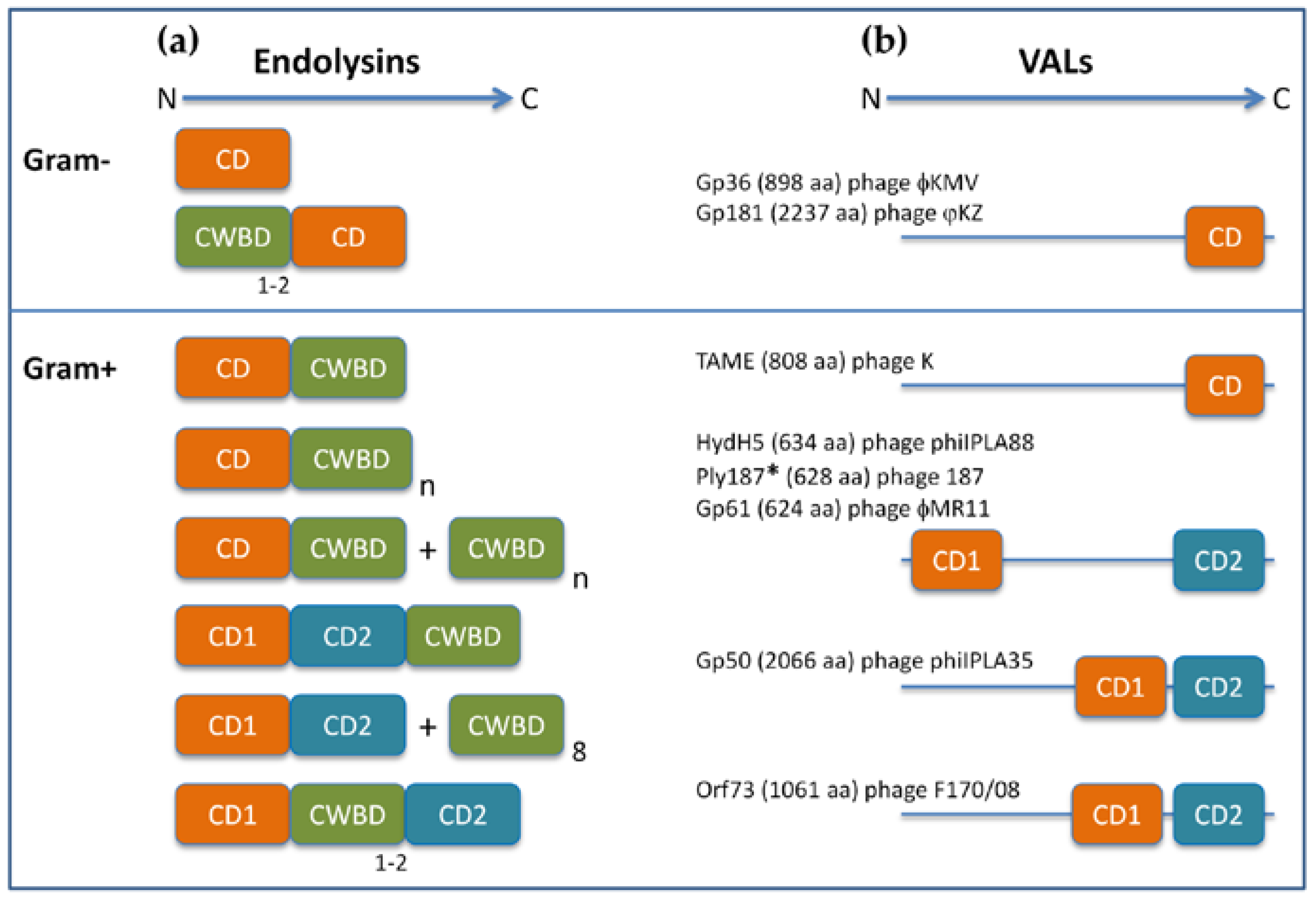 Antibiotics 07 00029 g003