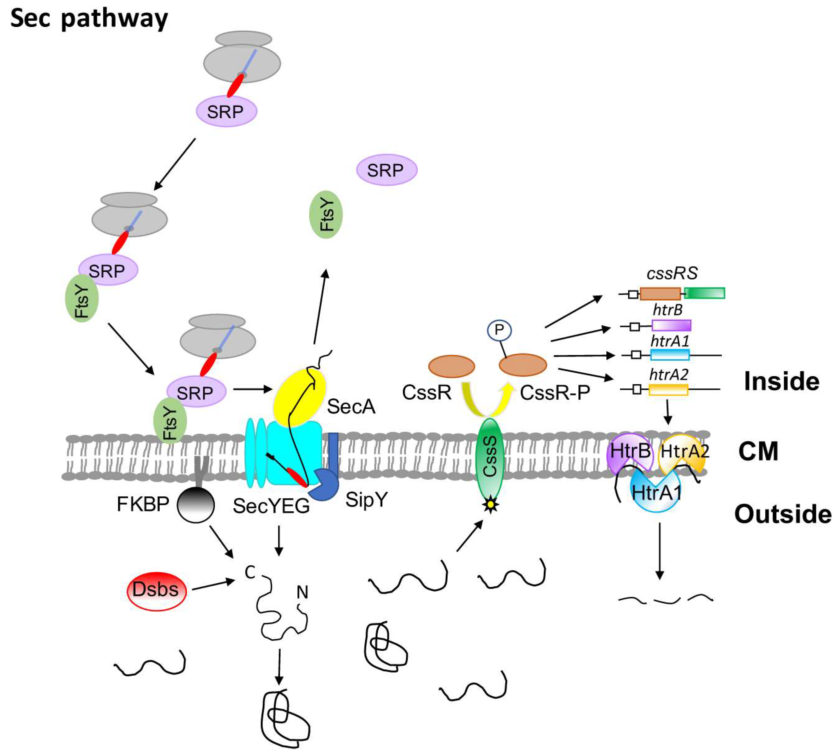 Antibiotics 07 00033 g001
