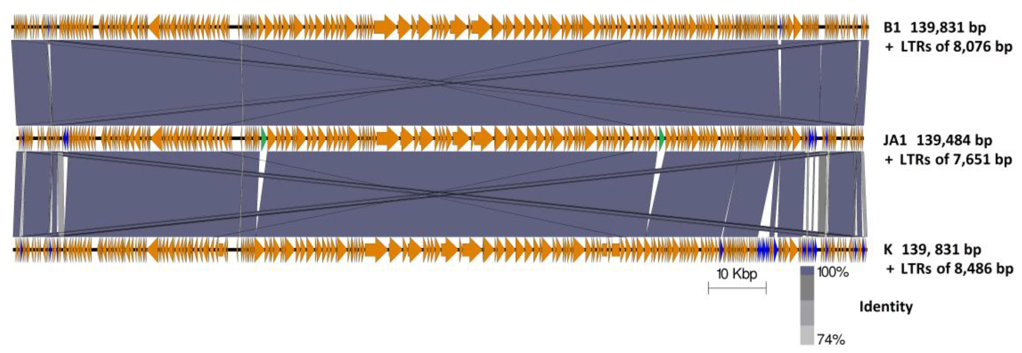 Antibiotics 07 00037 g002