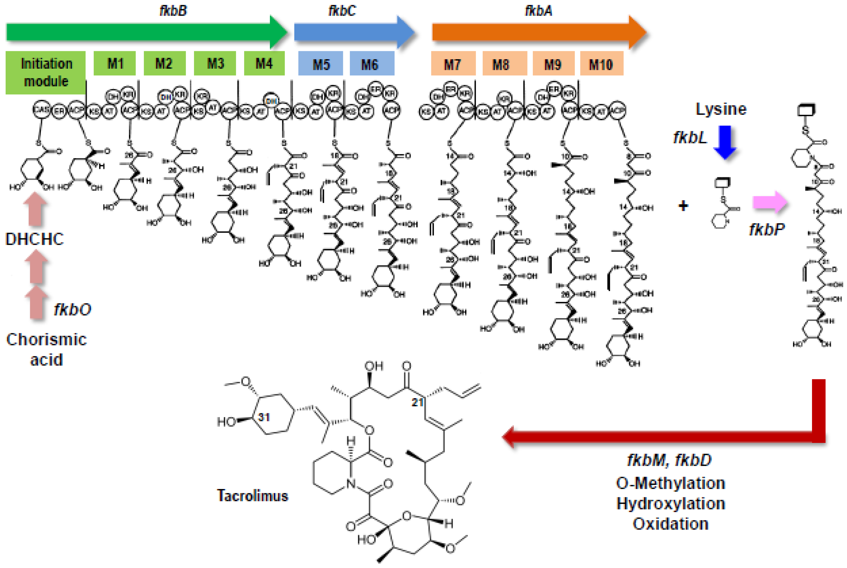 Antibiotics 07 00039 g003