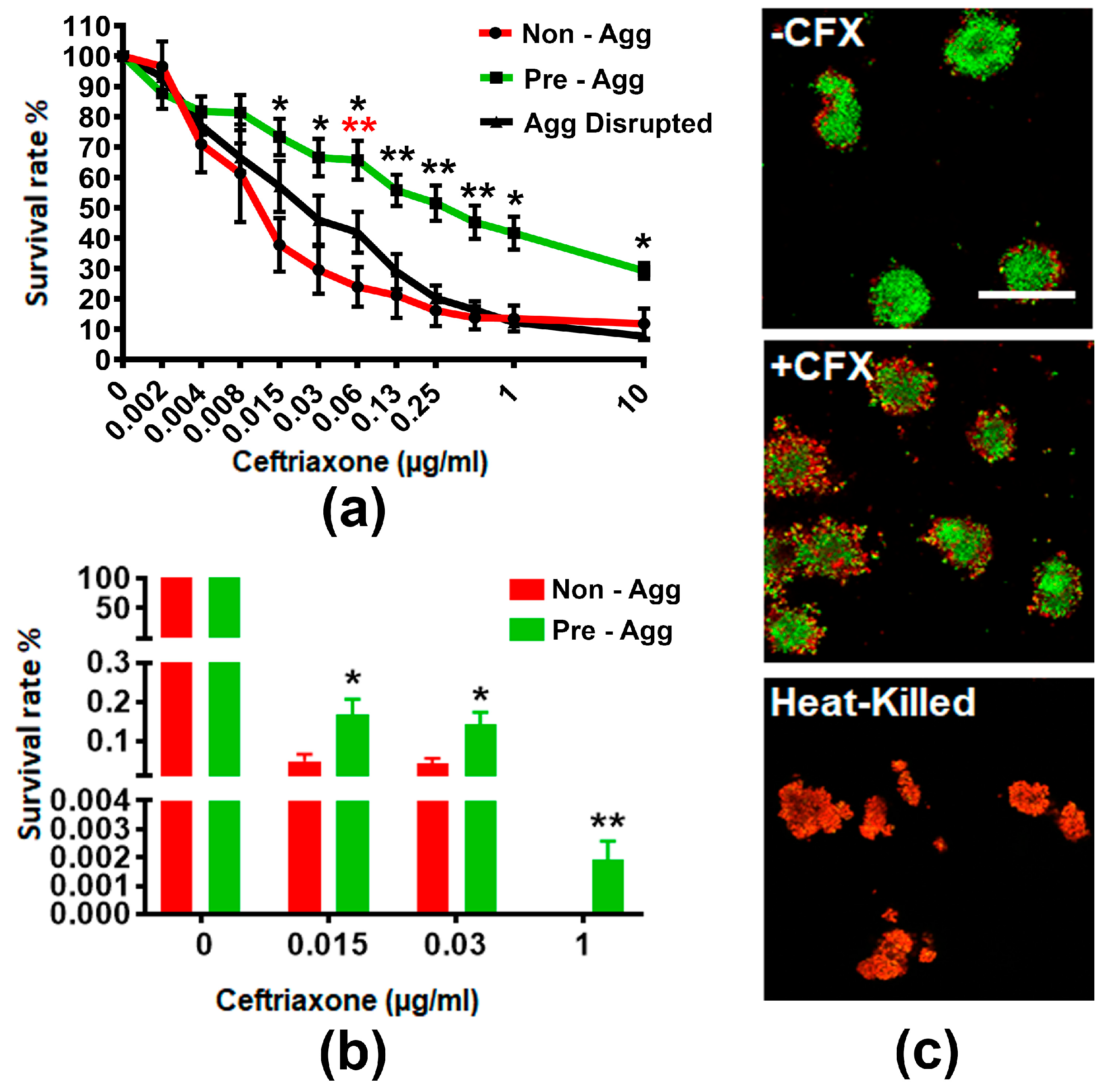 Antibiotics 07 00048 g001