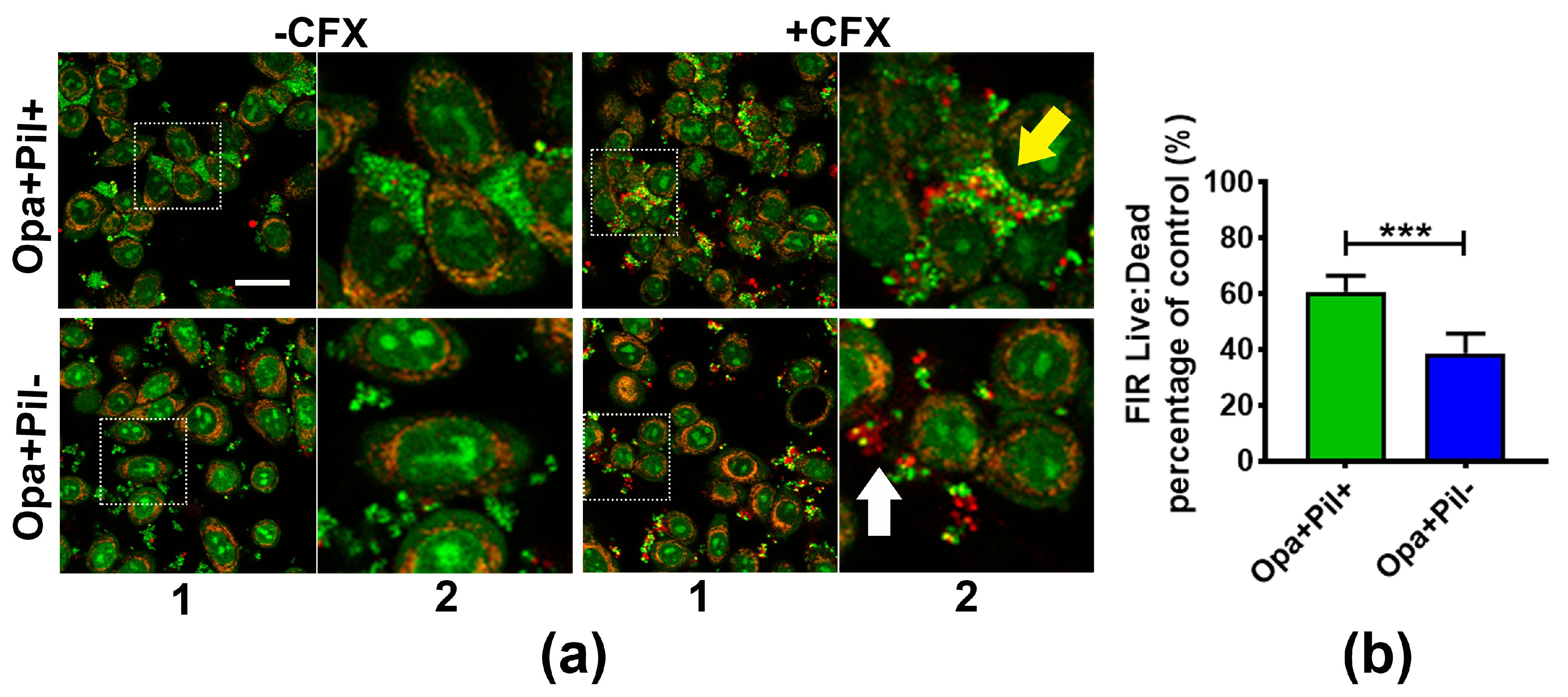 Antibiotics 07 00048 g003