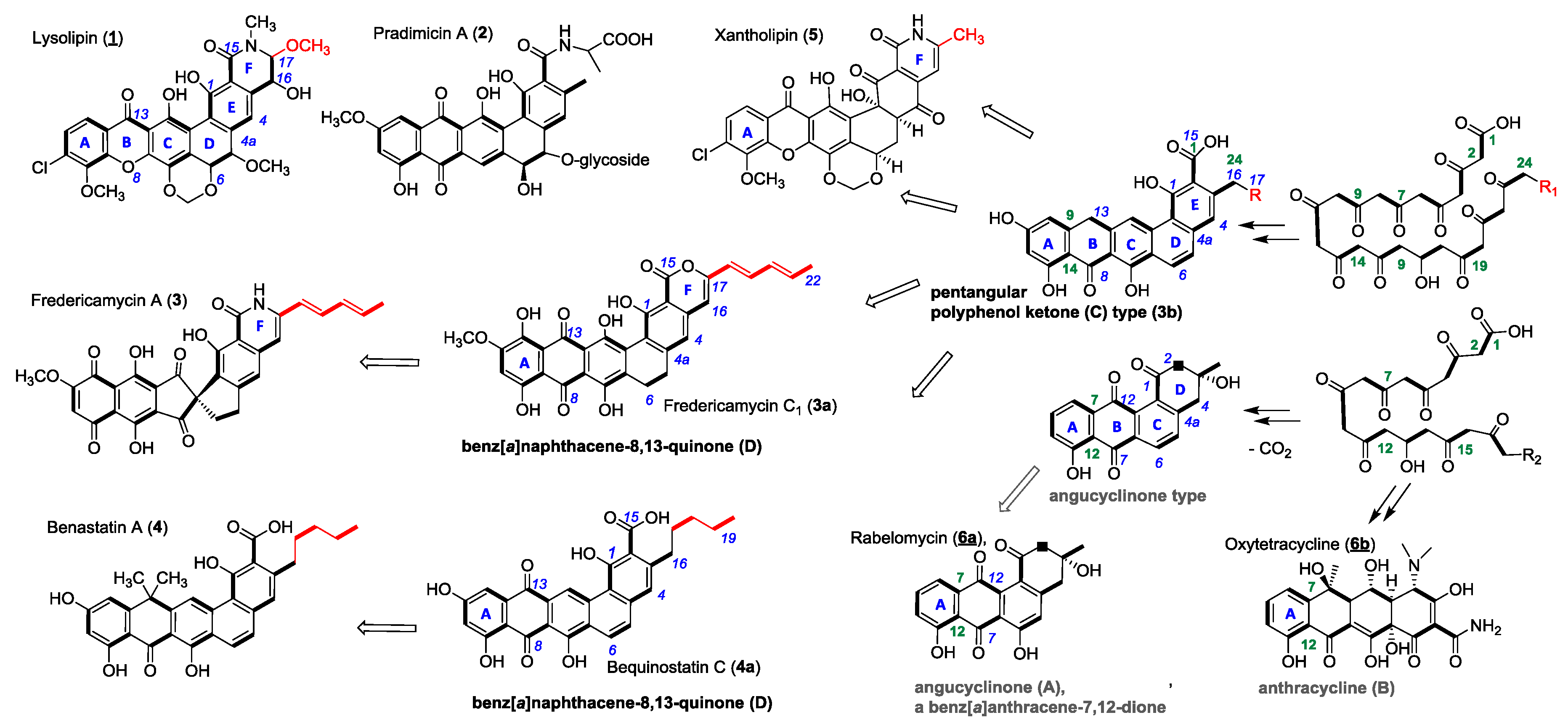 Antibiotics 07 00053 g001