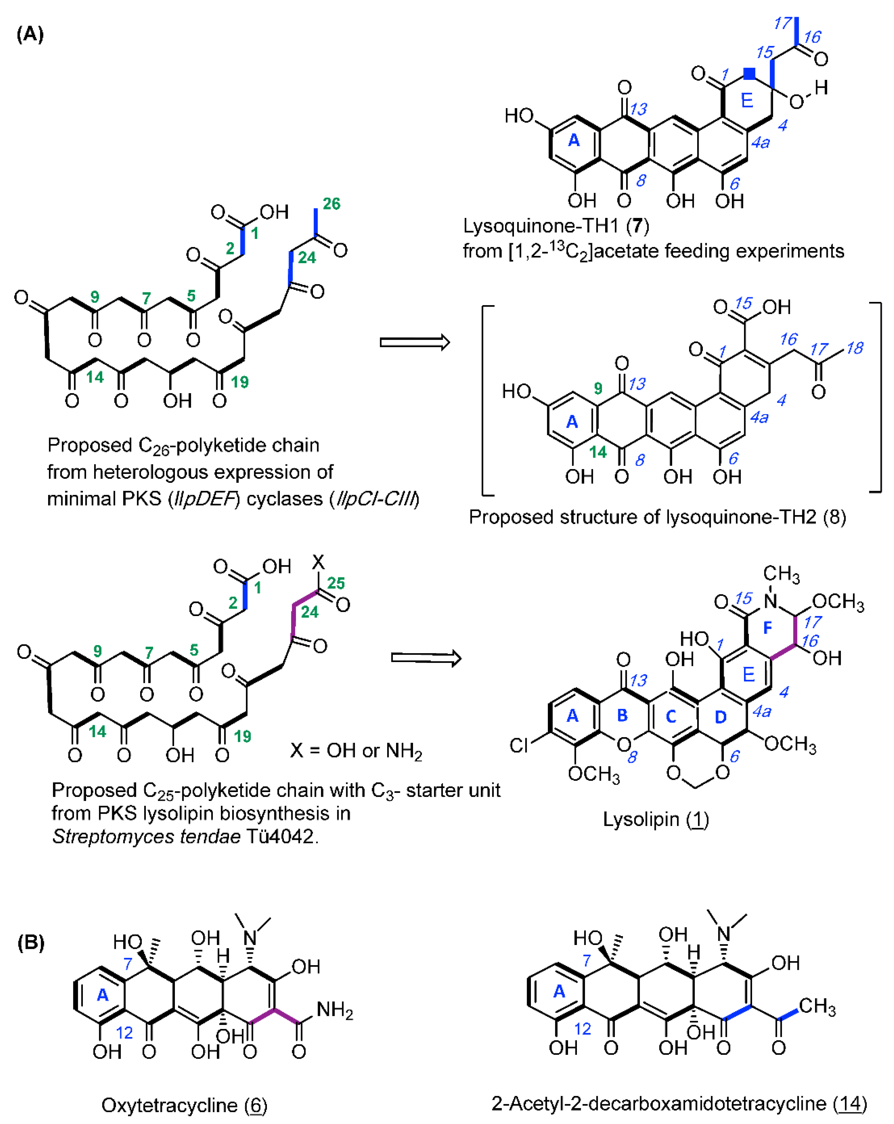 Antibiotics 07 00053 g003