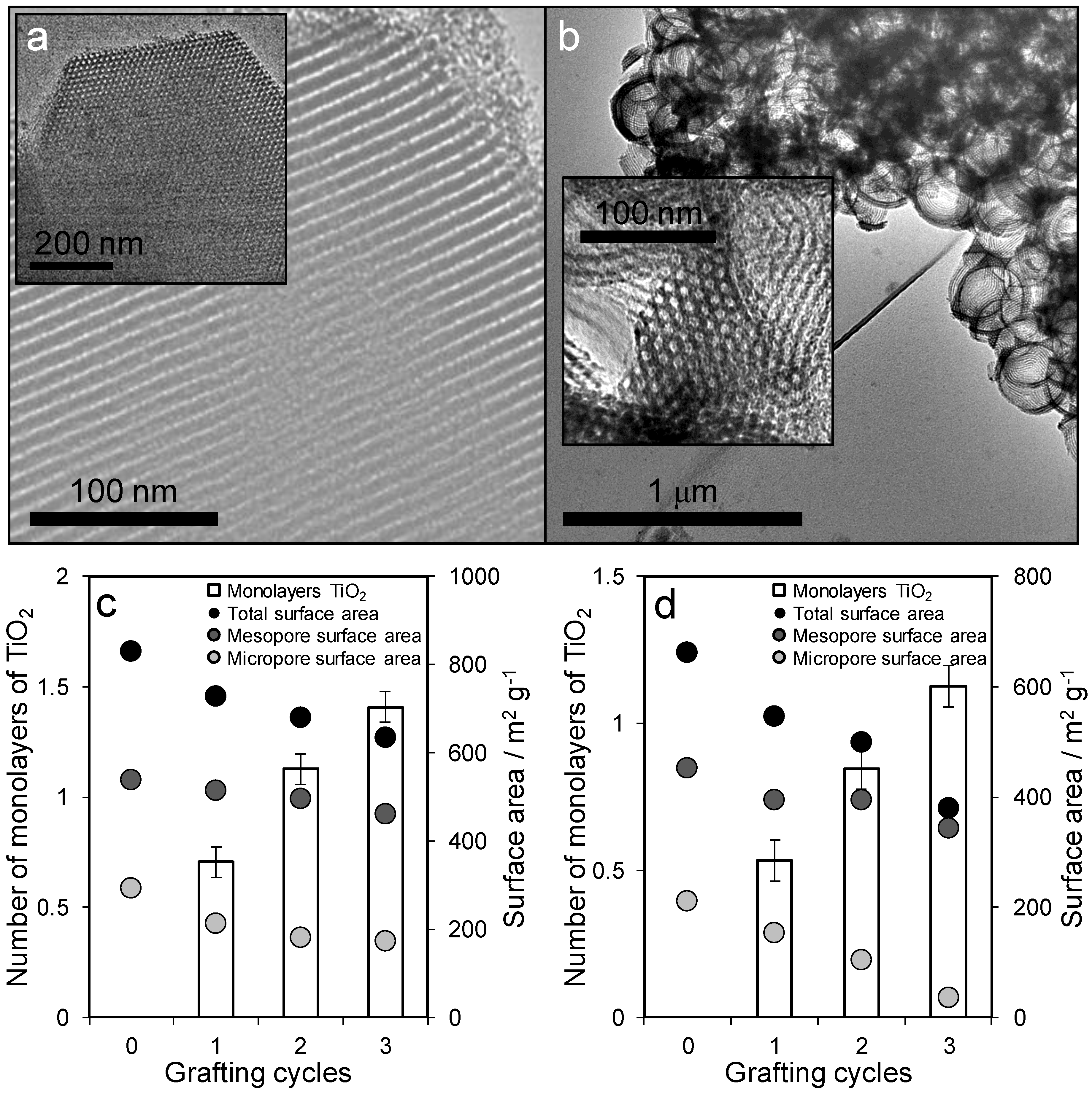 Antibiotics 07 00055 g002