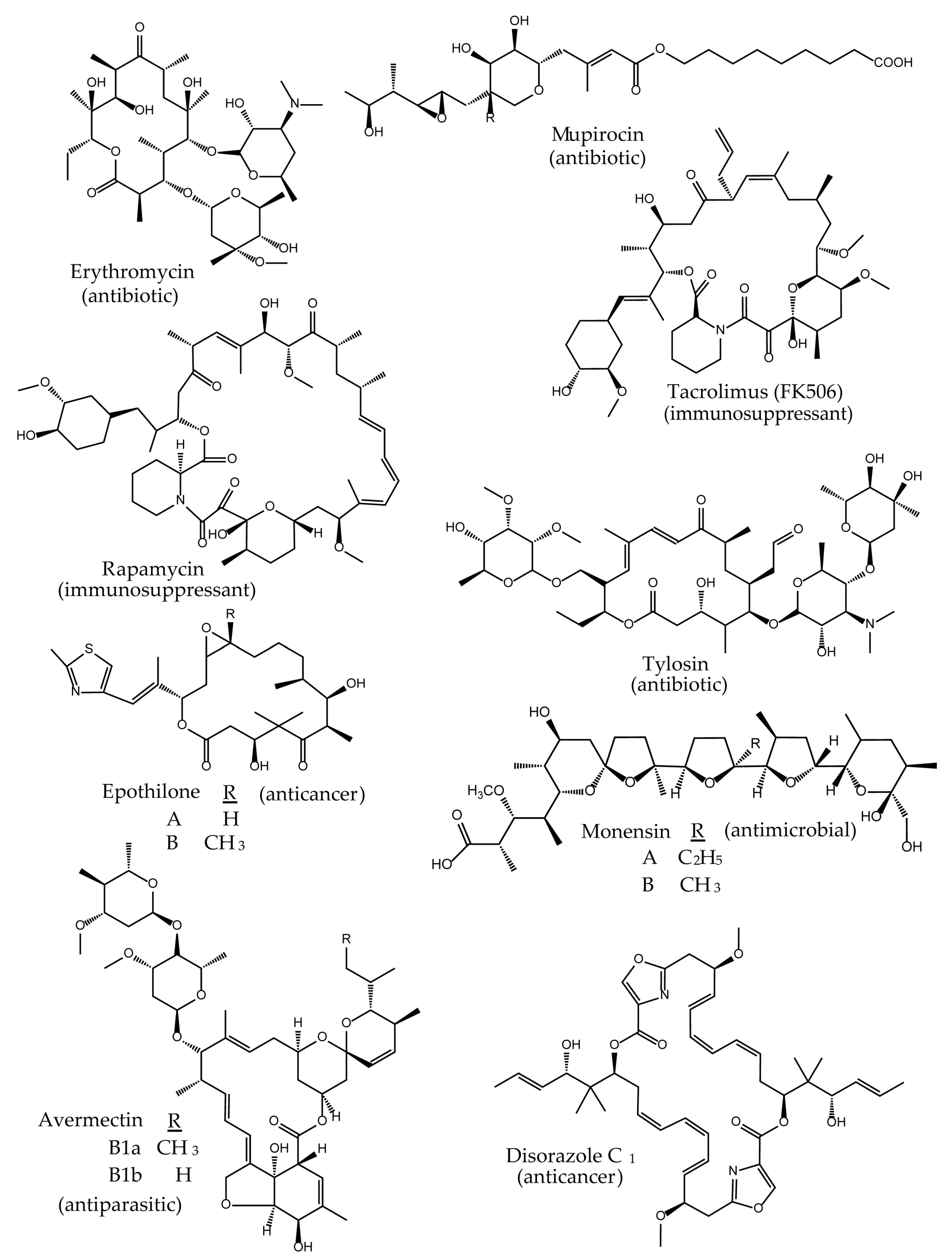 Antibiotics 07 00062 g001