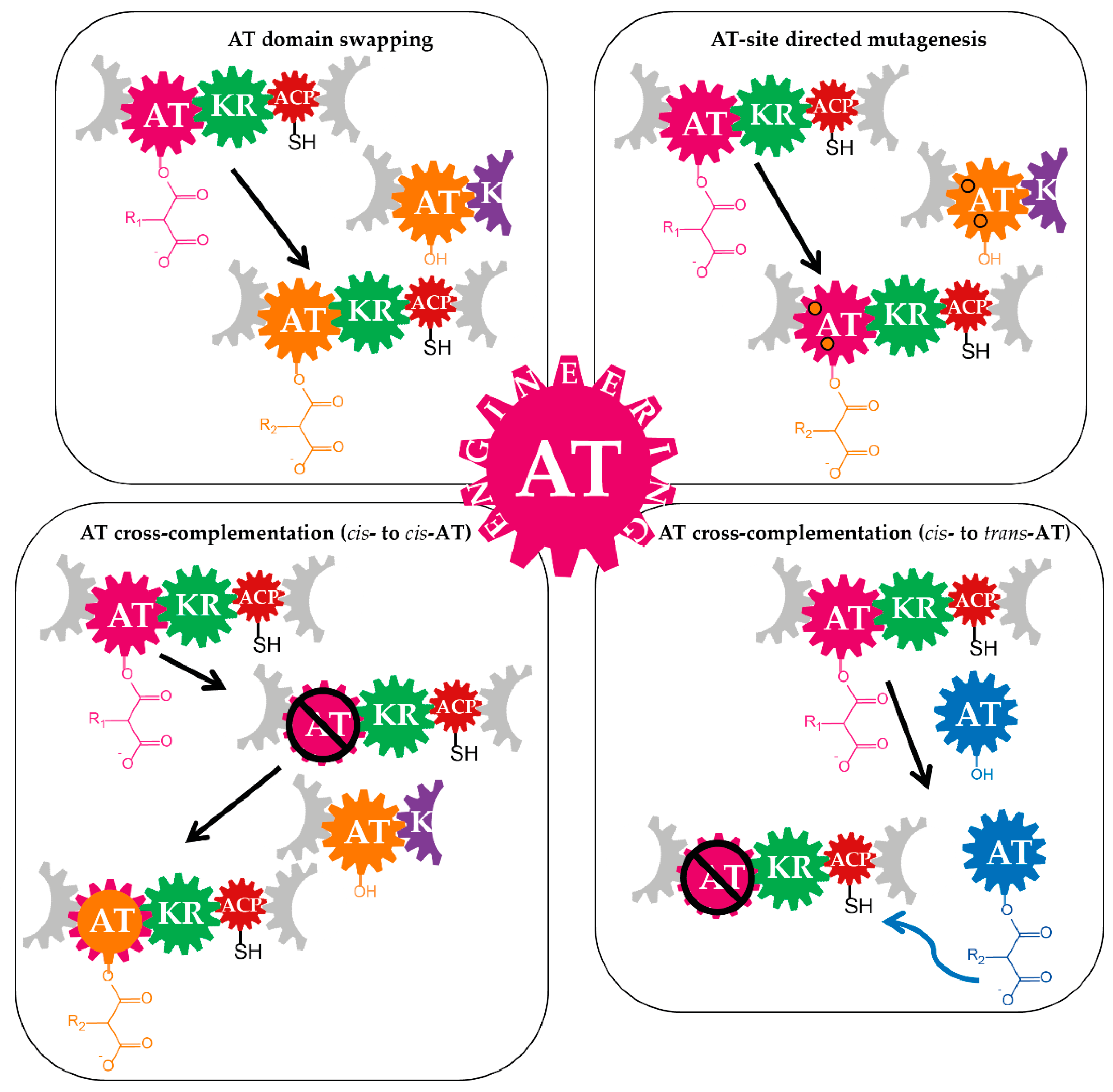 Antibiotics 07 00062 g003
