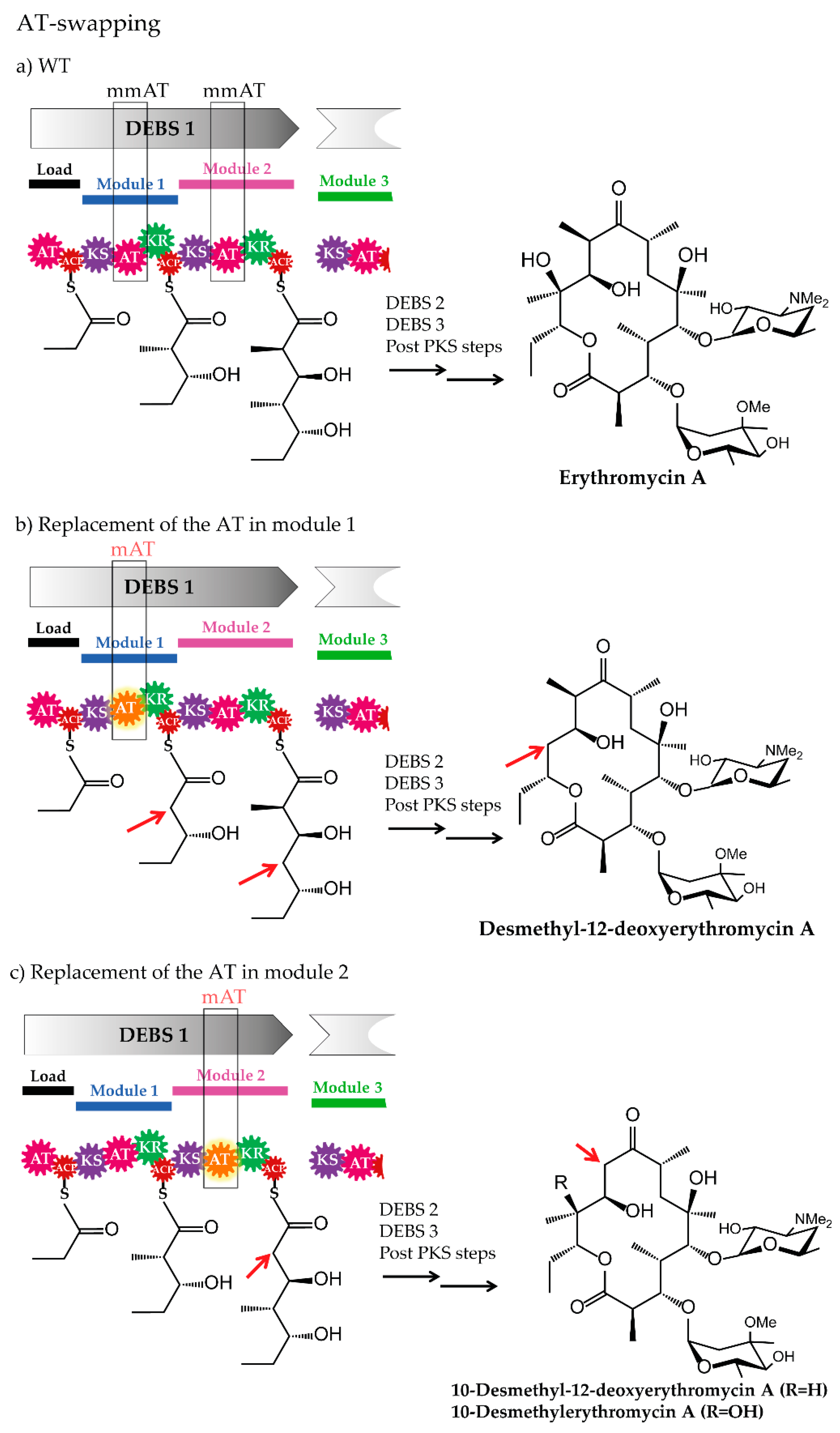 Antibiotics 07 00062 g004