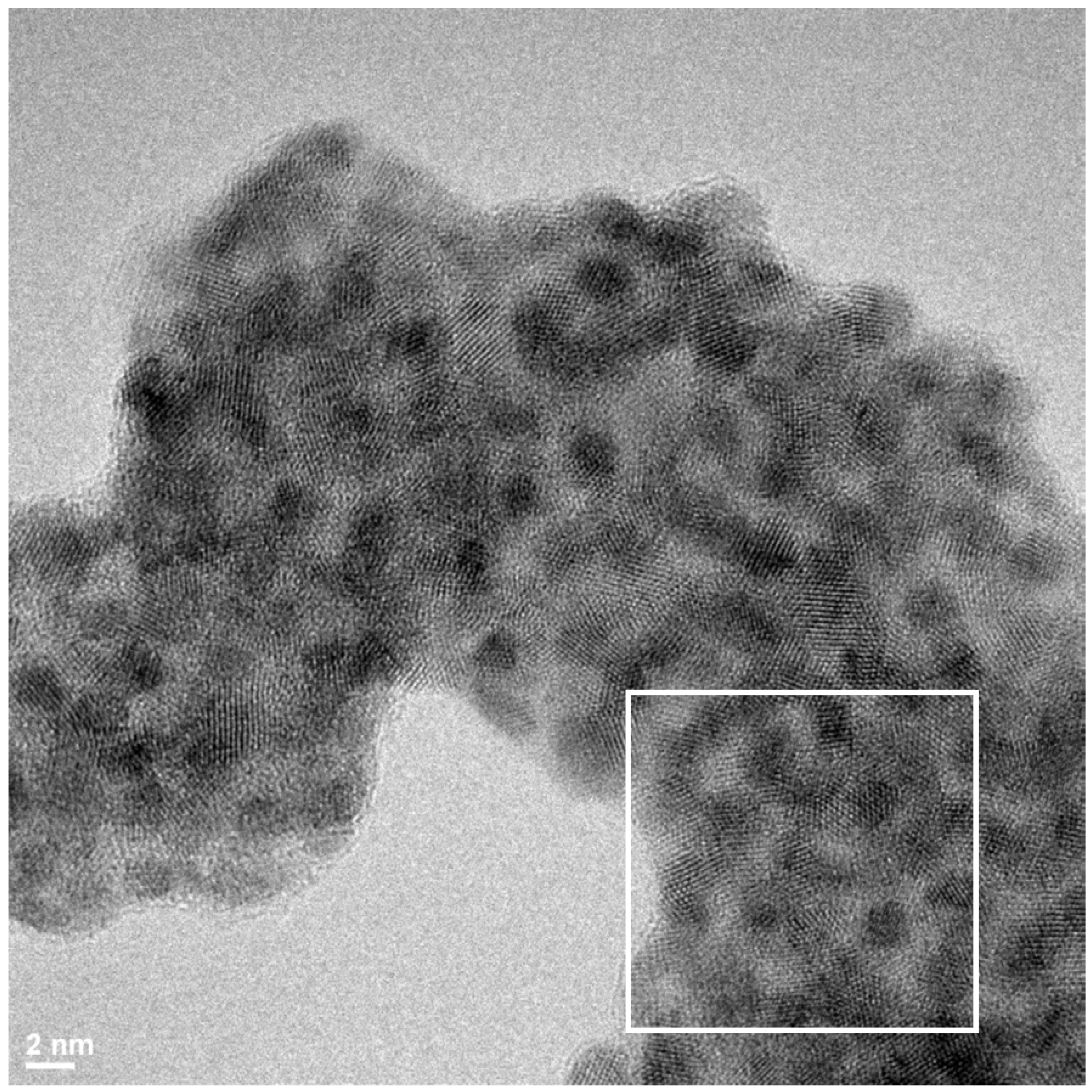 Antibiotics 07 00080 g001