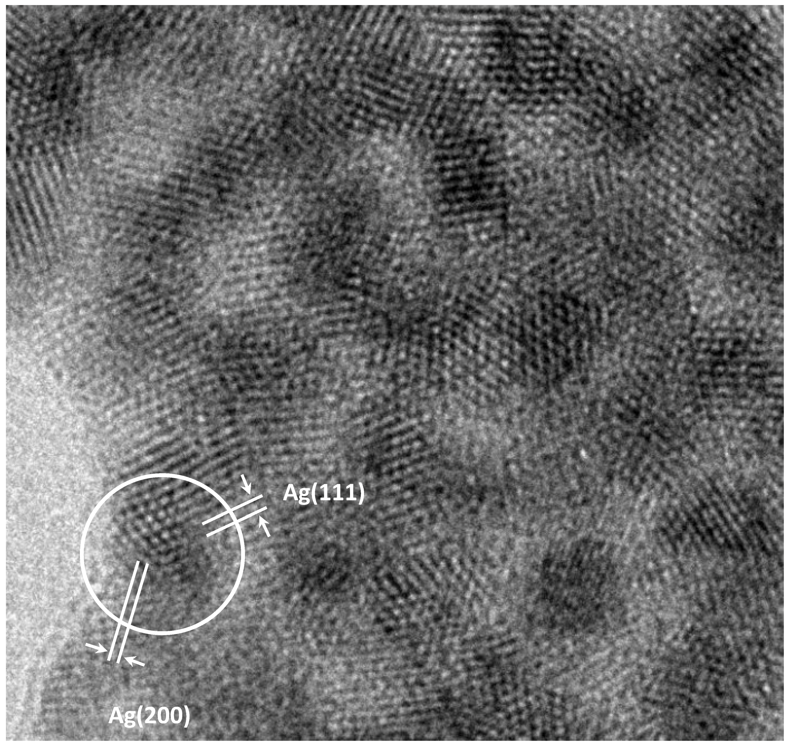 Antibiotics 07 00080 g002