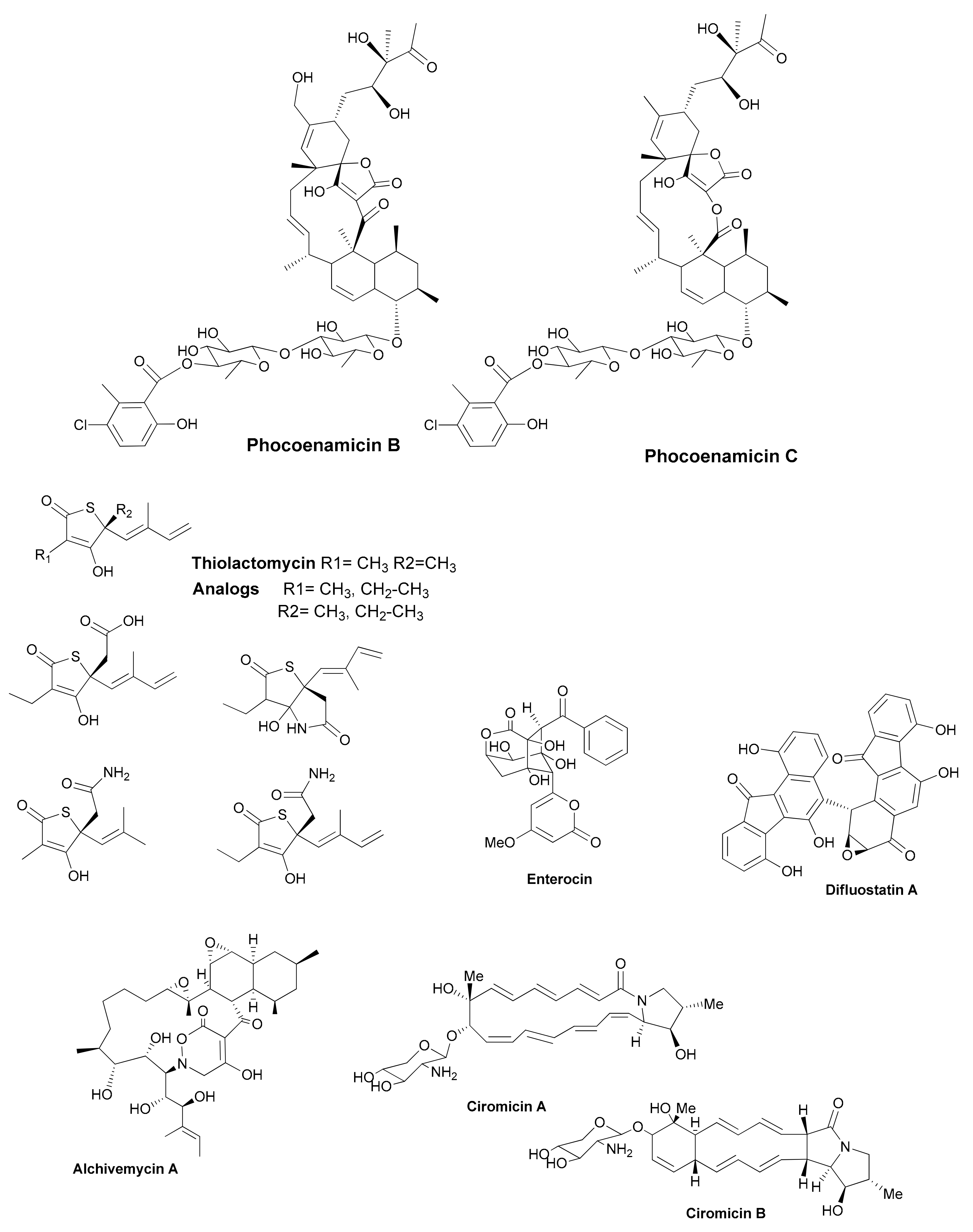 Antibiotics 07 00085 g001b