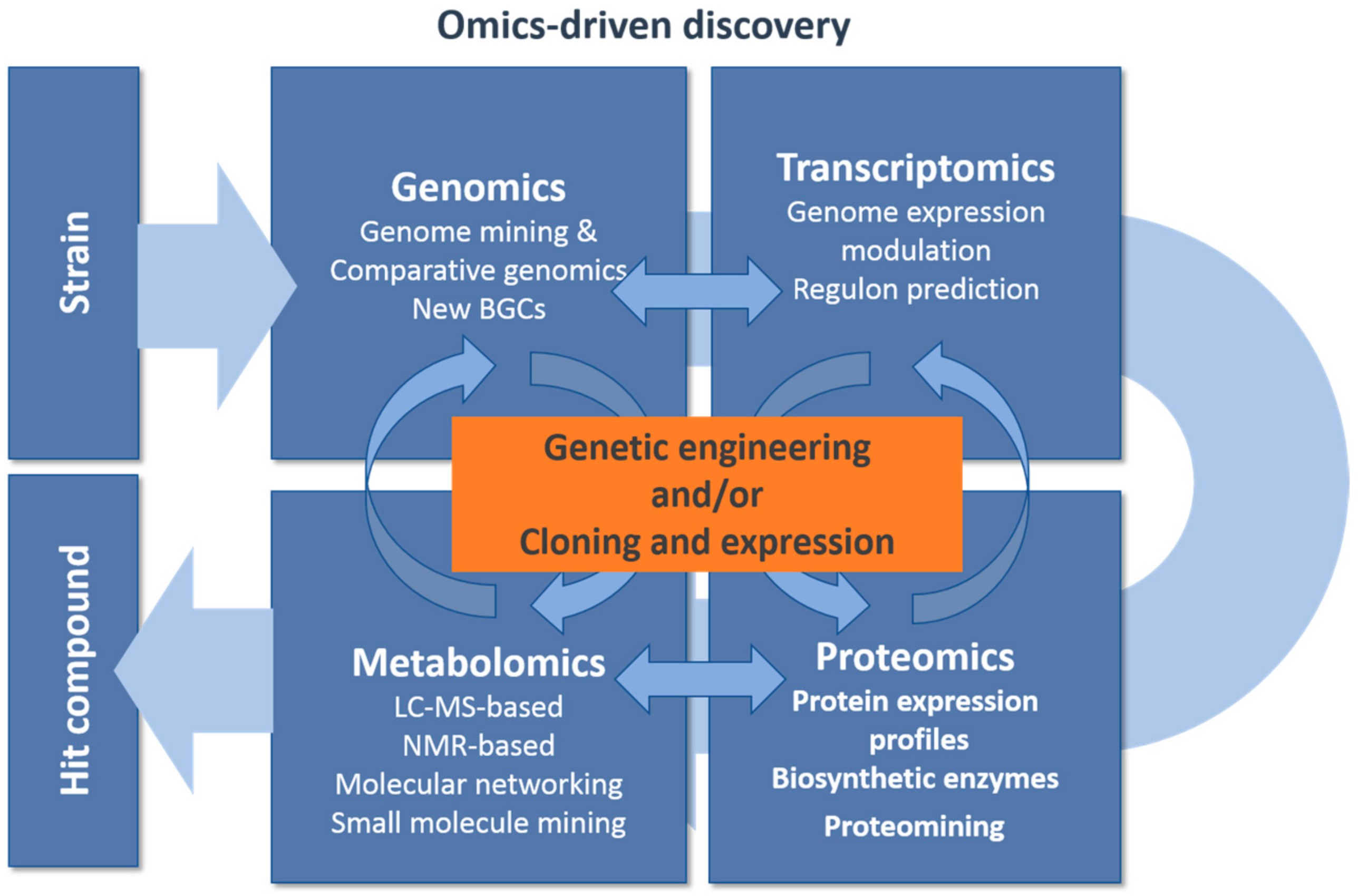 Antibiotics 07 00085 g002