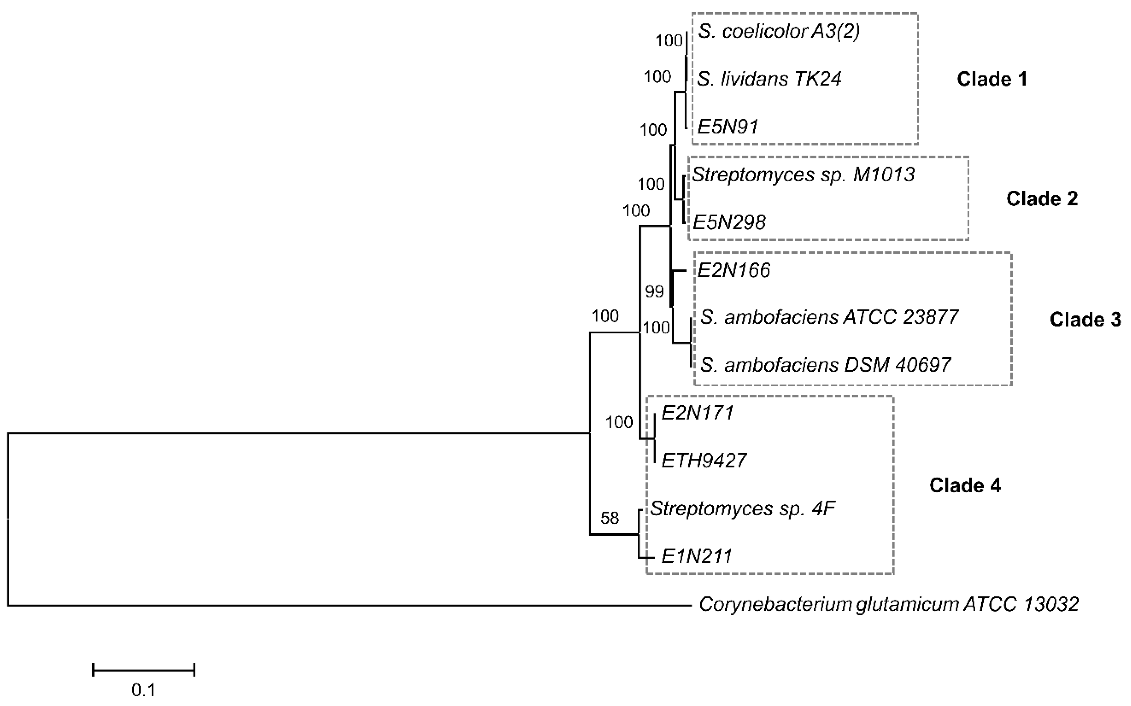Antibiotics 07 00086 g001