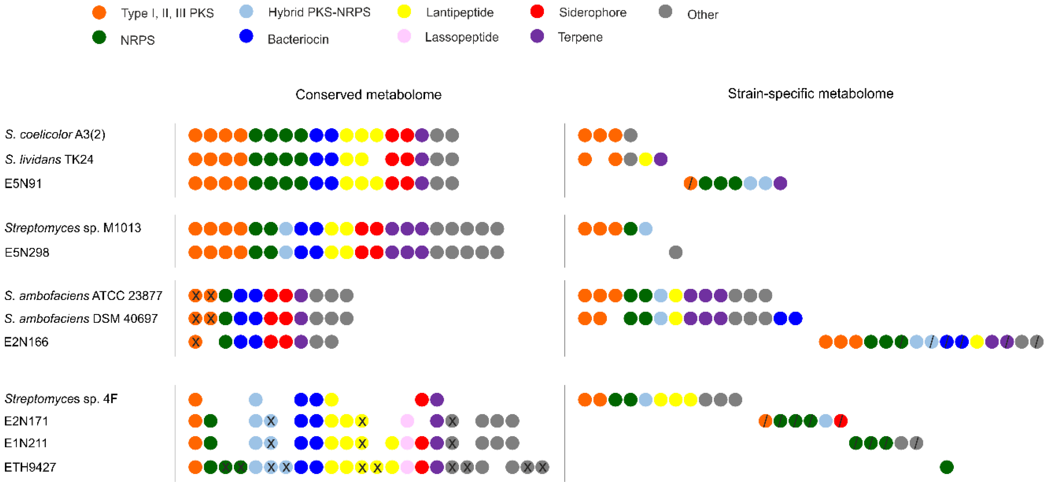 Antibiotics 07 00086 g004
