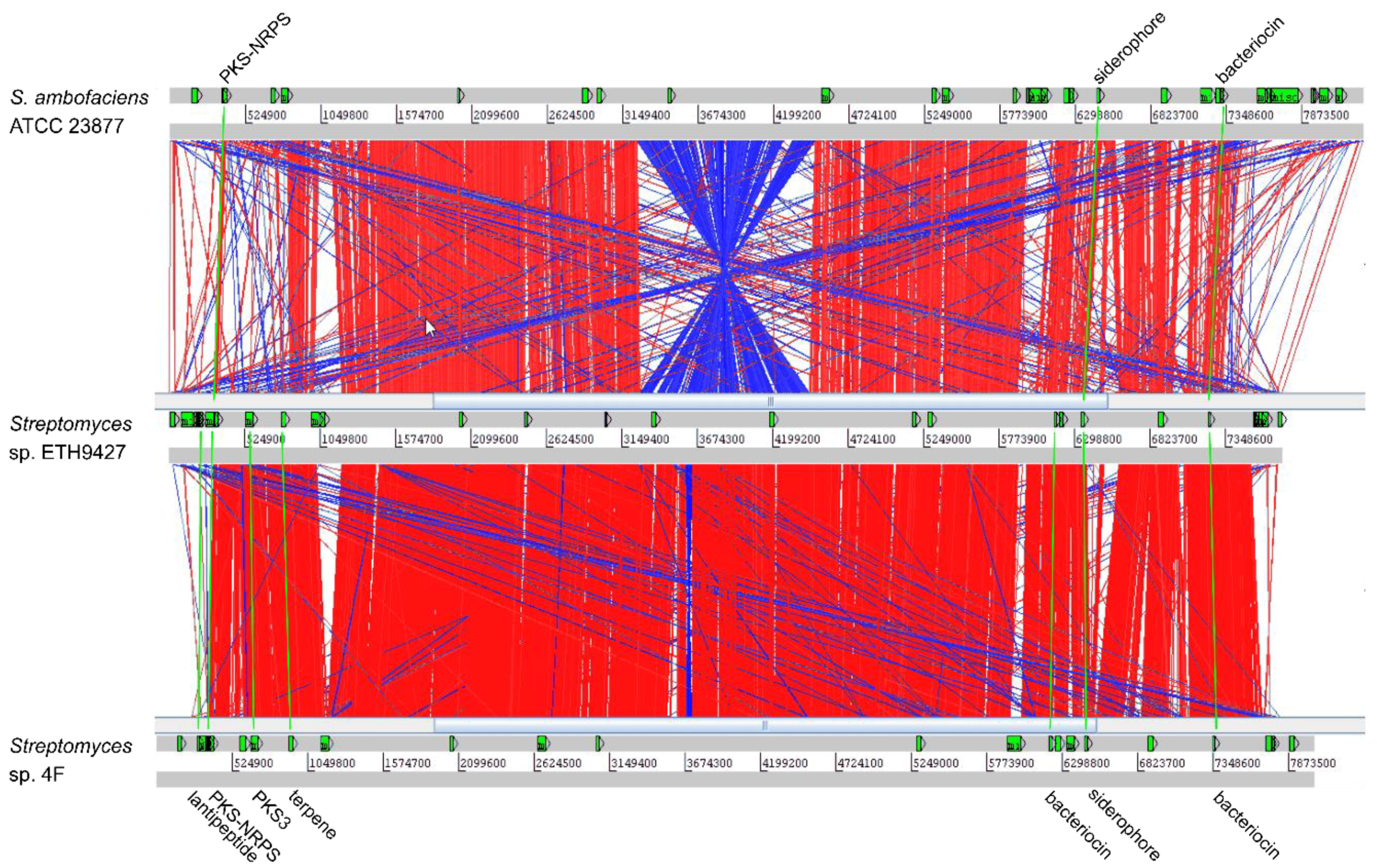 Antibiotics 07 00086 g005