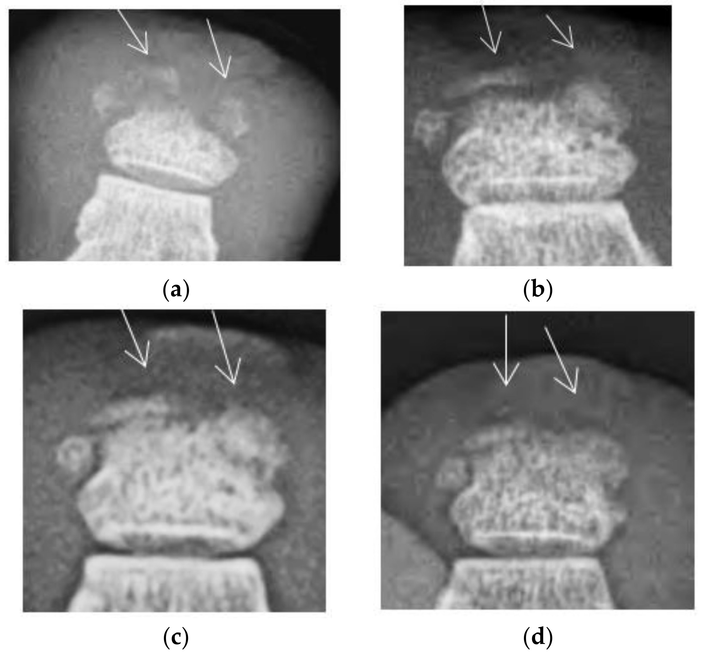 Antibiotics 07 00087 g002