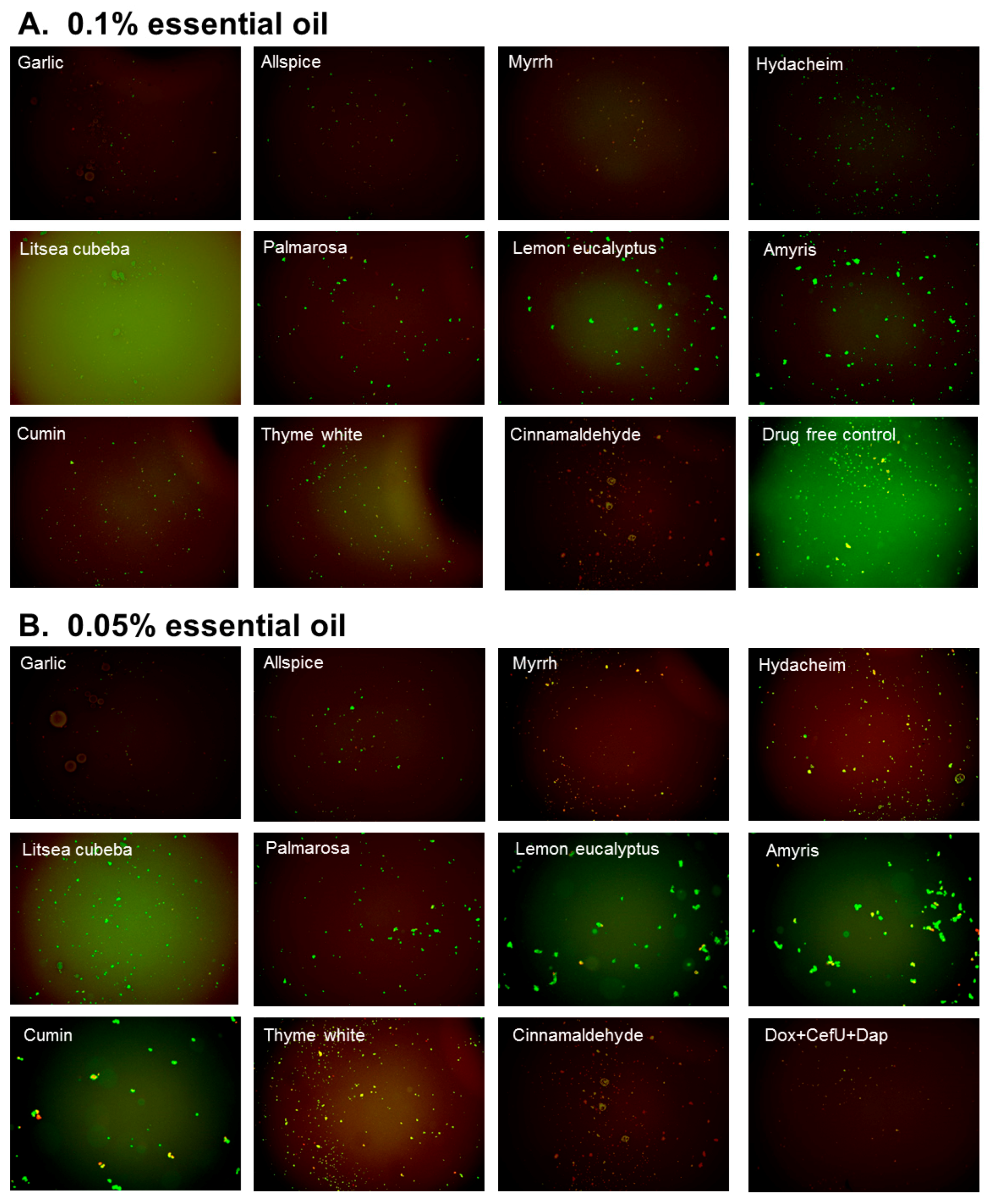 Antibiotics 07 00089 g003