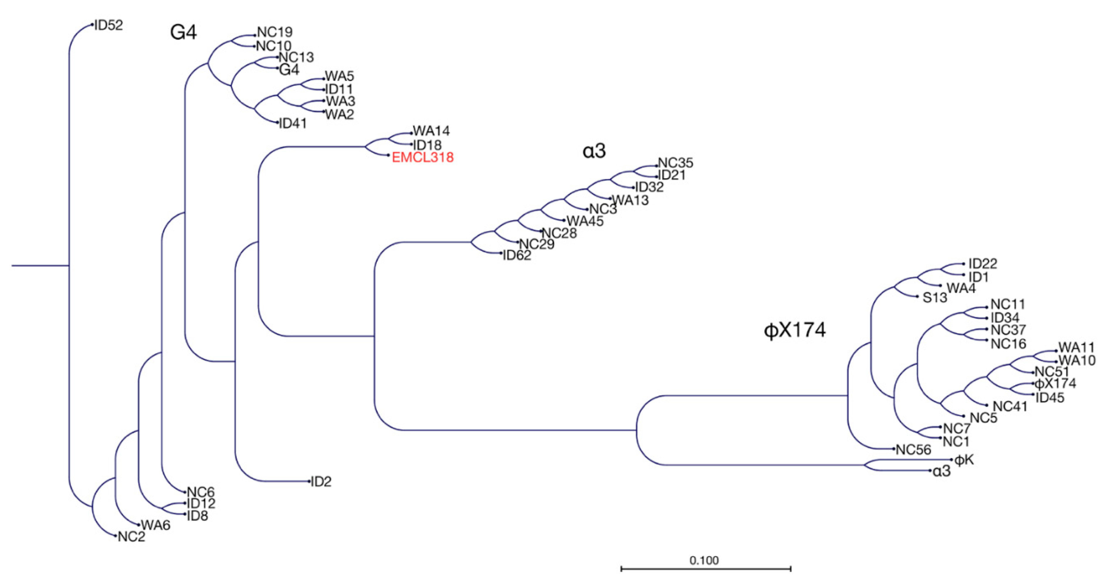 Antibiotics 07 00092 g004 Antibiotics 07 00092 g004