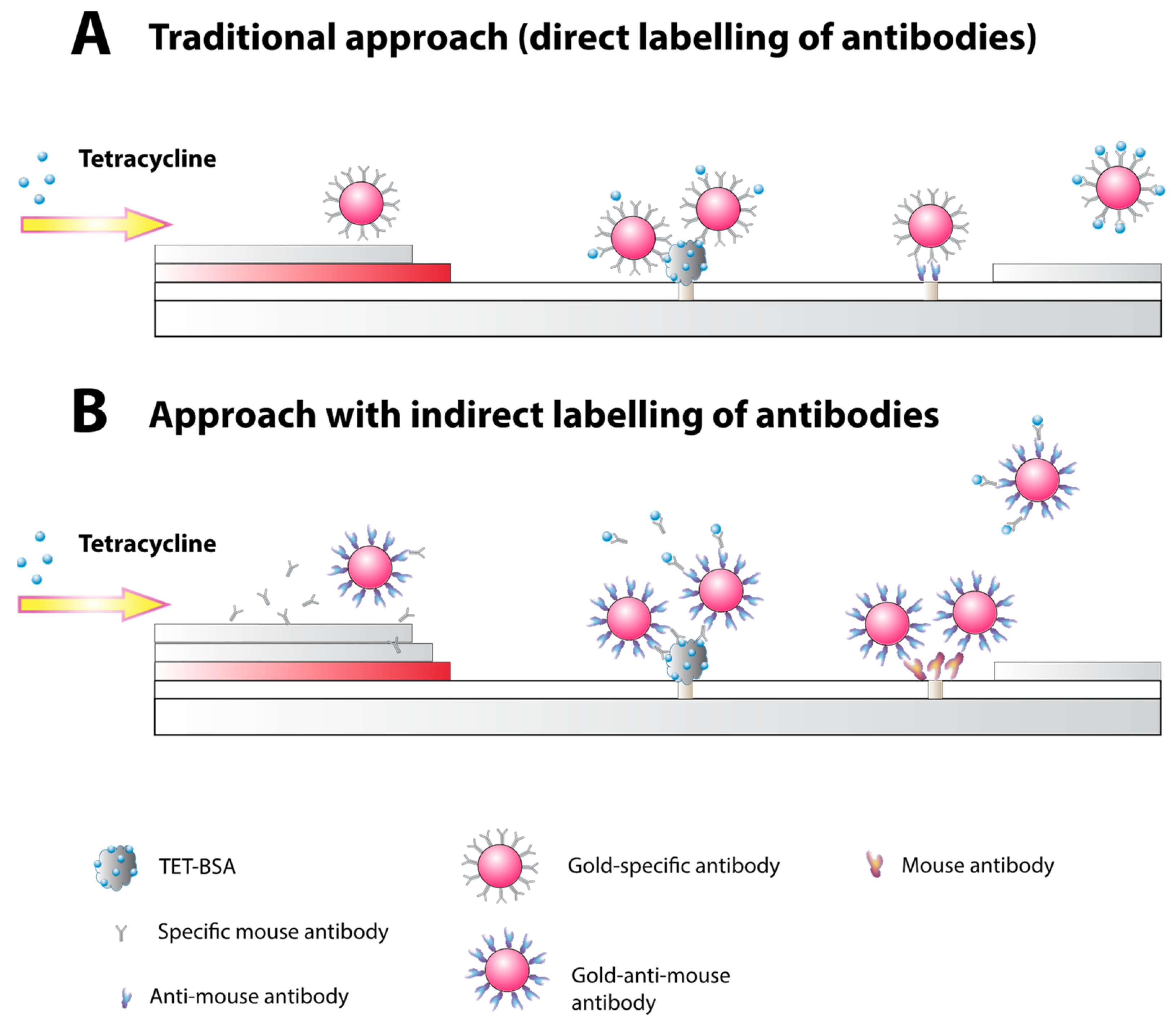 Antibiotics 07 00099 g002 Antibiotics 07 00099 g002