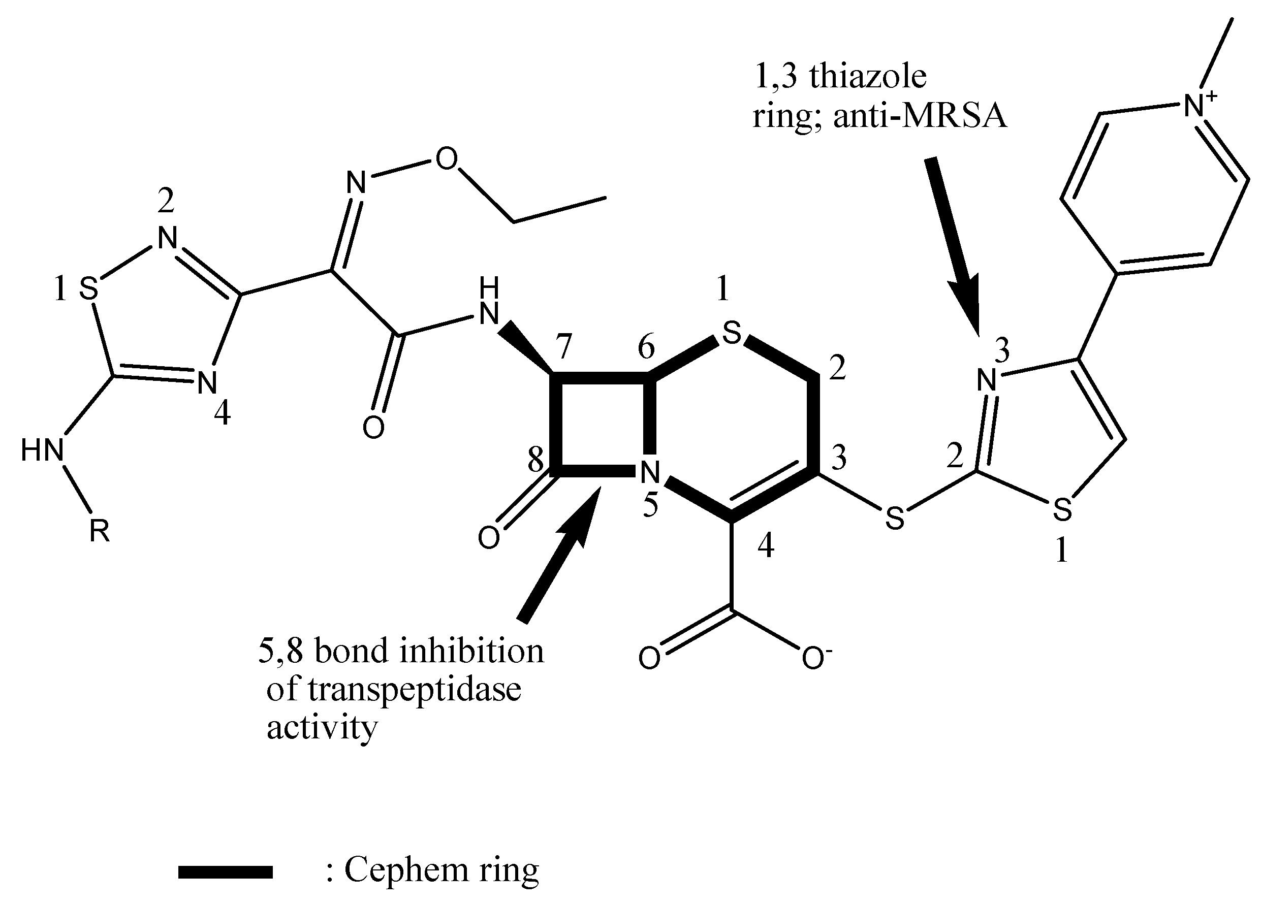 Antibiotics 08 00030 g001