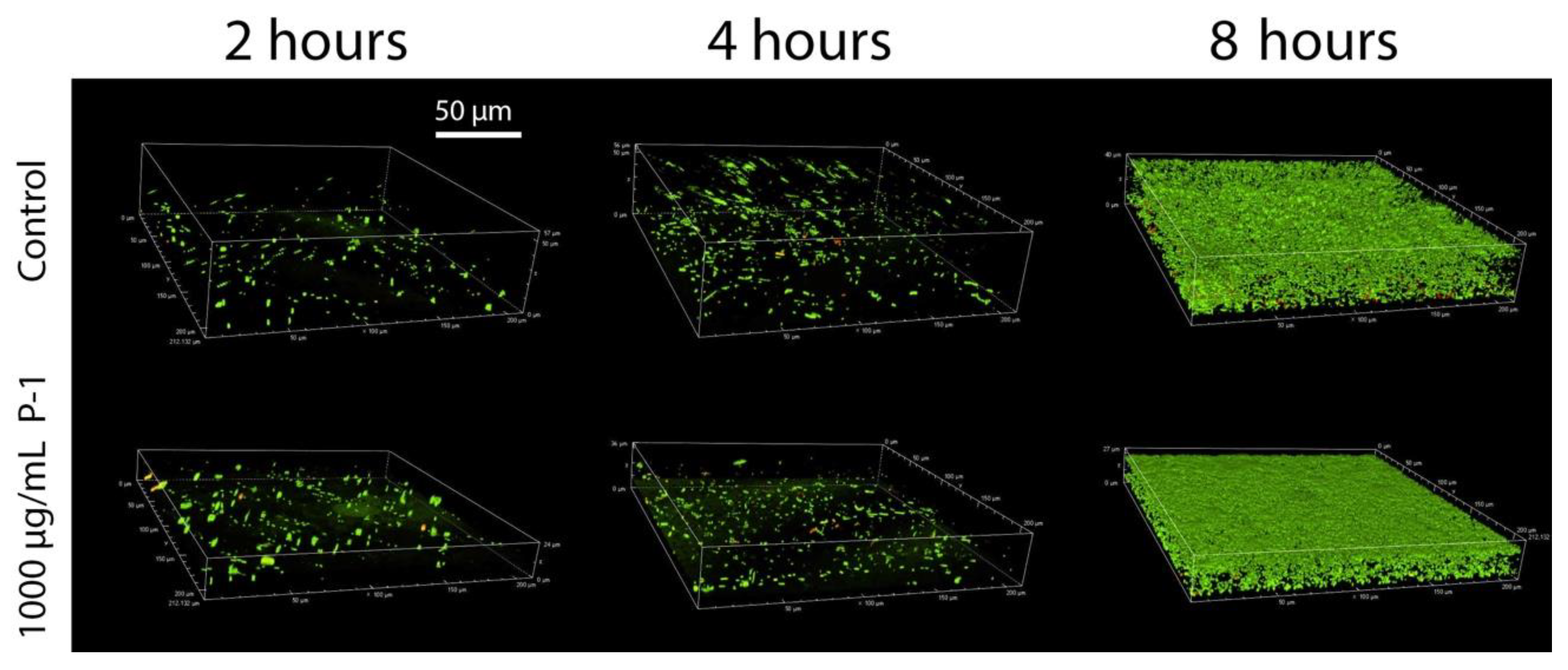 Antibiotics 08 00061 g006