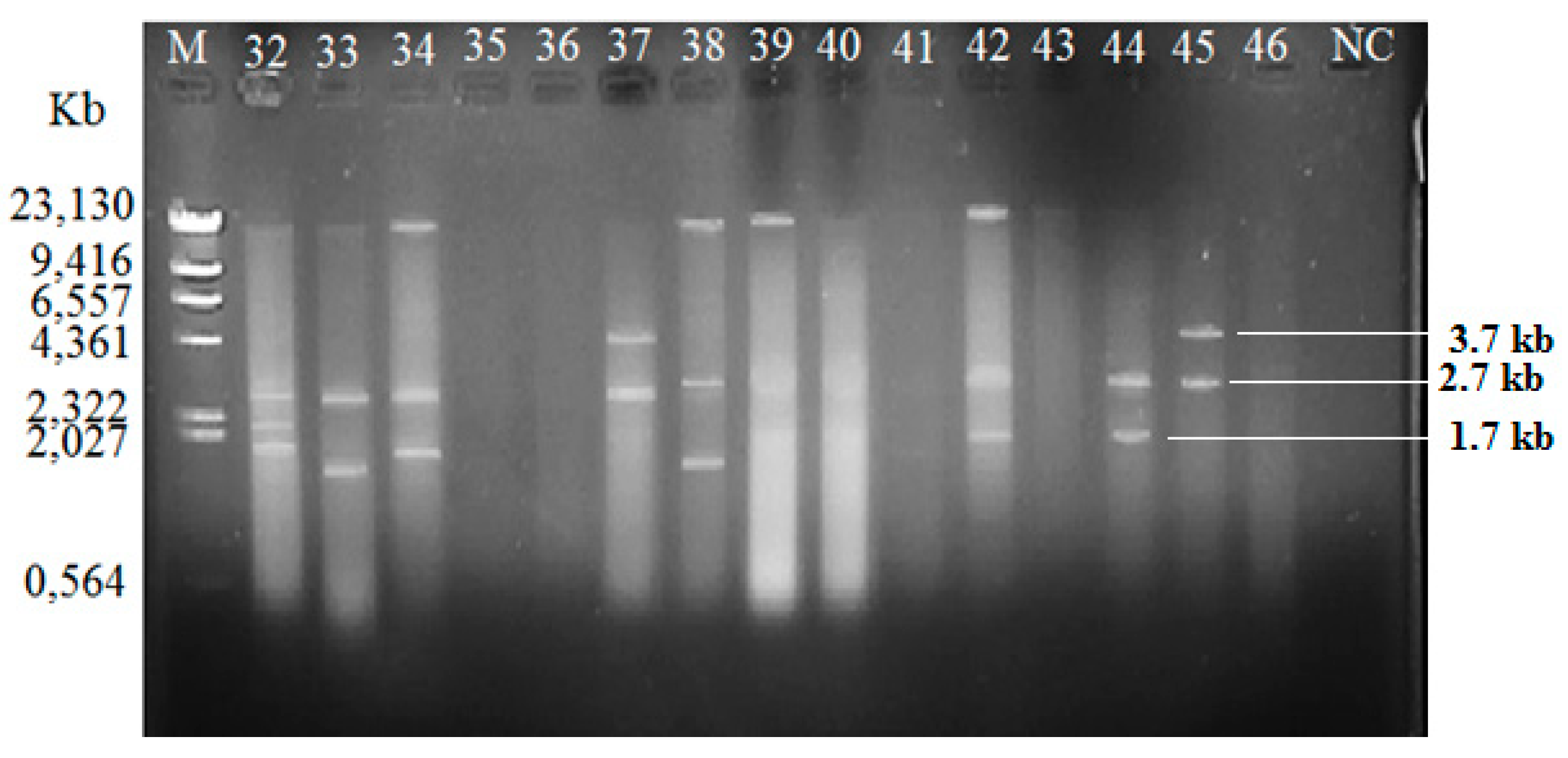 Antibiotics 08 00068 g002
