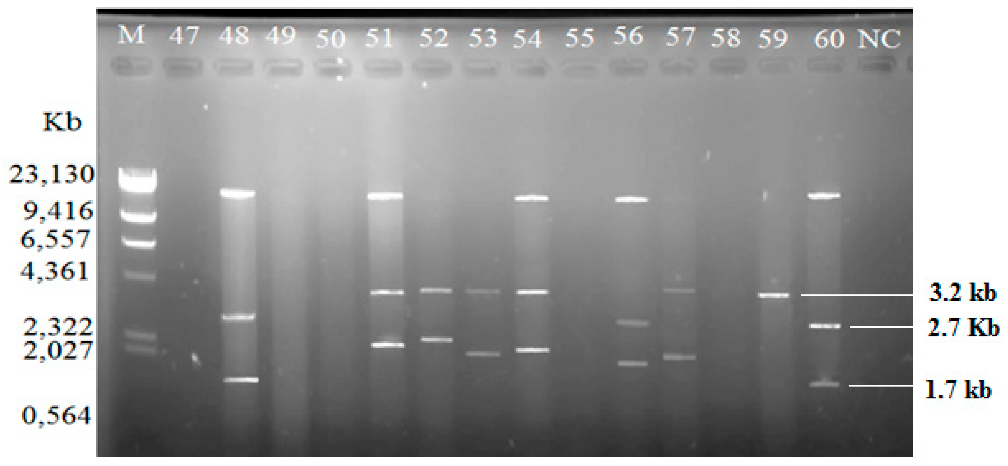 Antibiotics 08 00068 g003