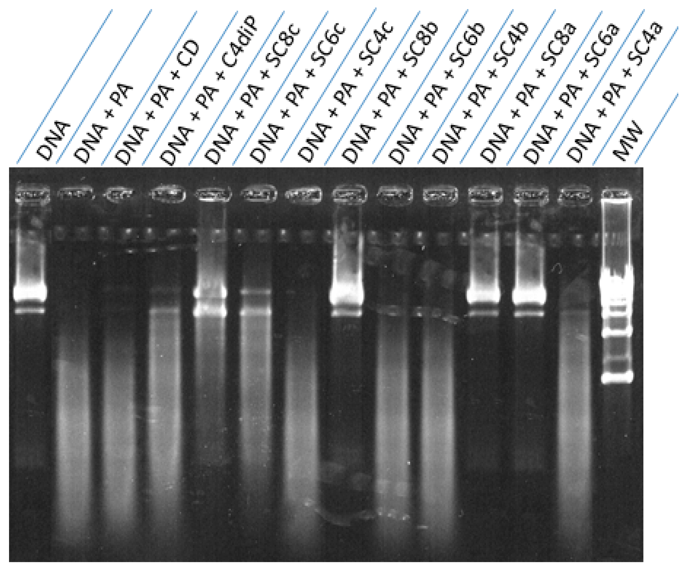 Antibiotics 08 00073 g002