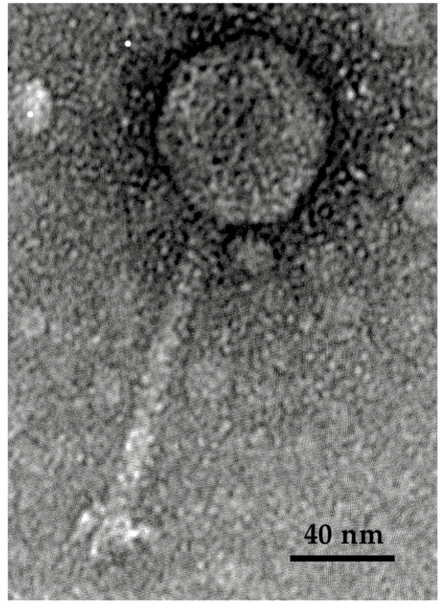 Antibiotics 08 00074 g003