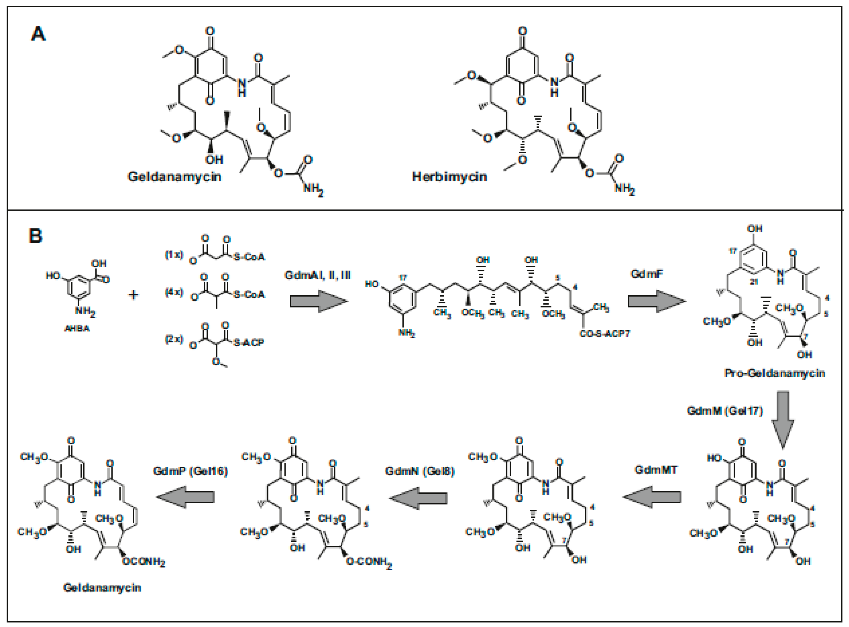 Antibiotics 08 00087 g001