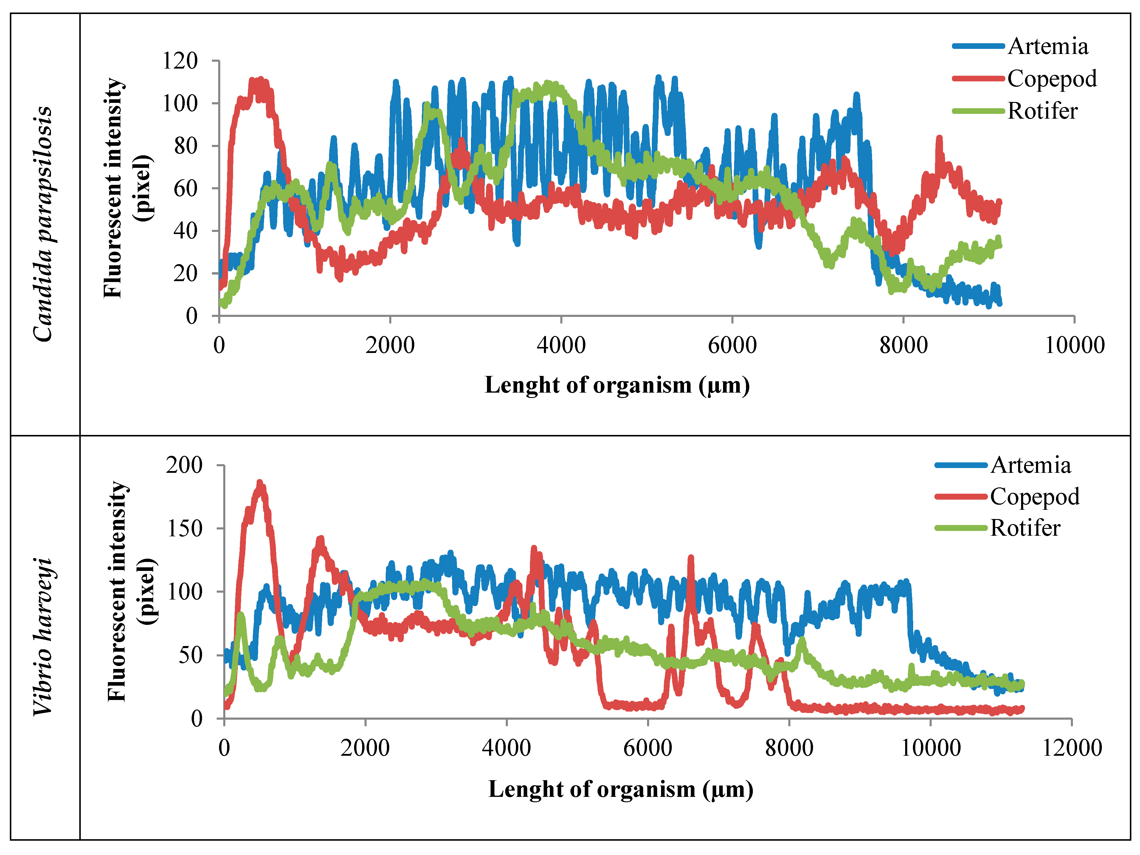 Antibiotics 08 00095 g002b Antibiotics 08 00095 g002b