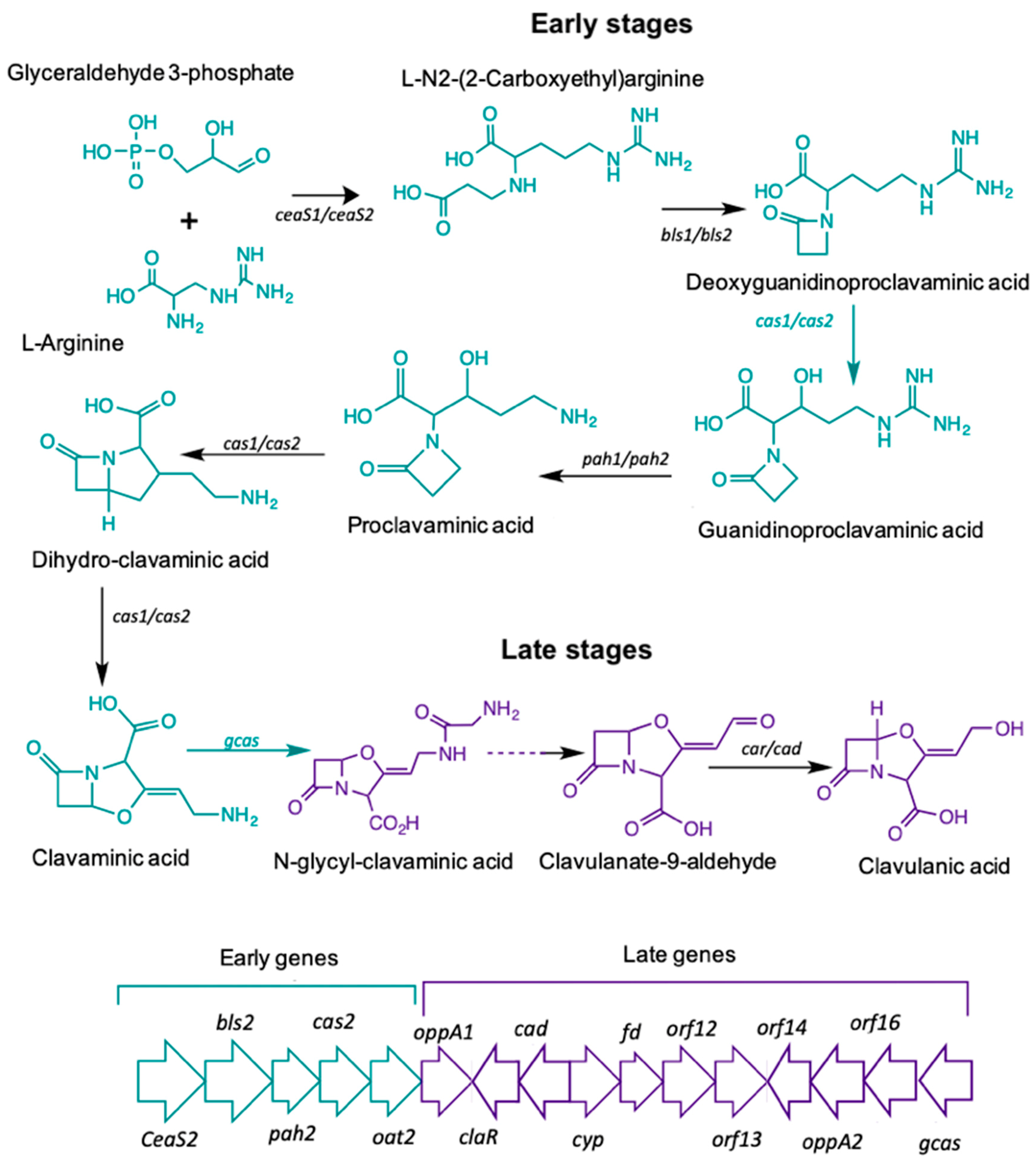 Antibiotics 08 00096 g001
