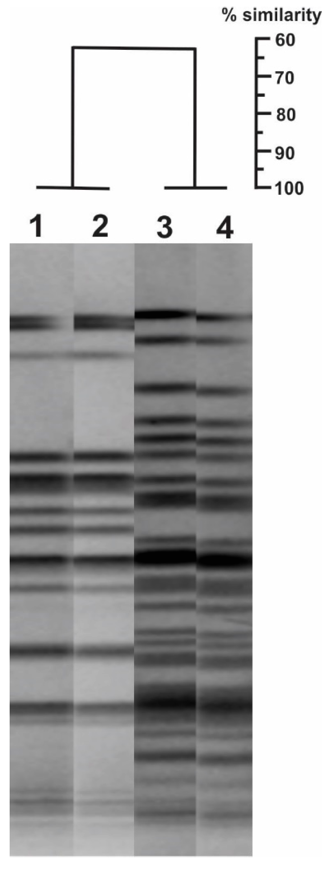 Antibiotics 08 00098 g001