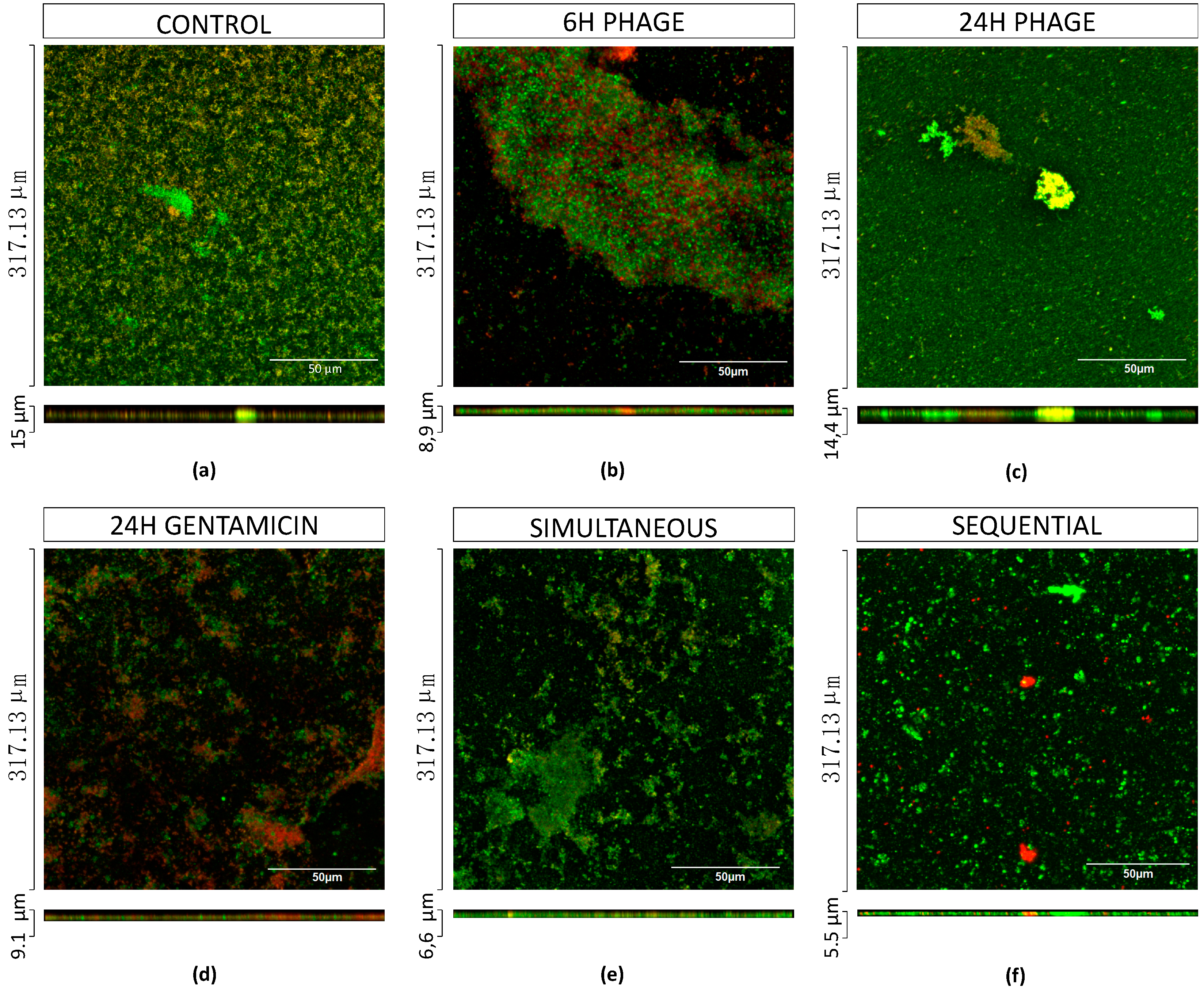 Antibiotics 08 00103 g008
