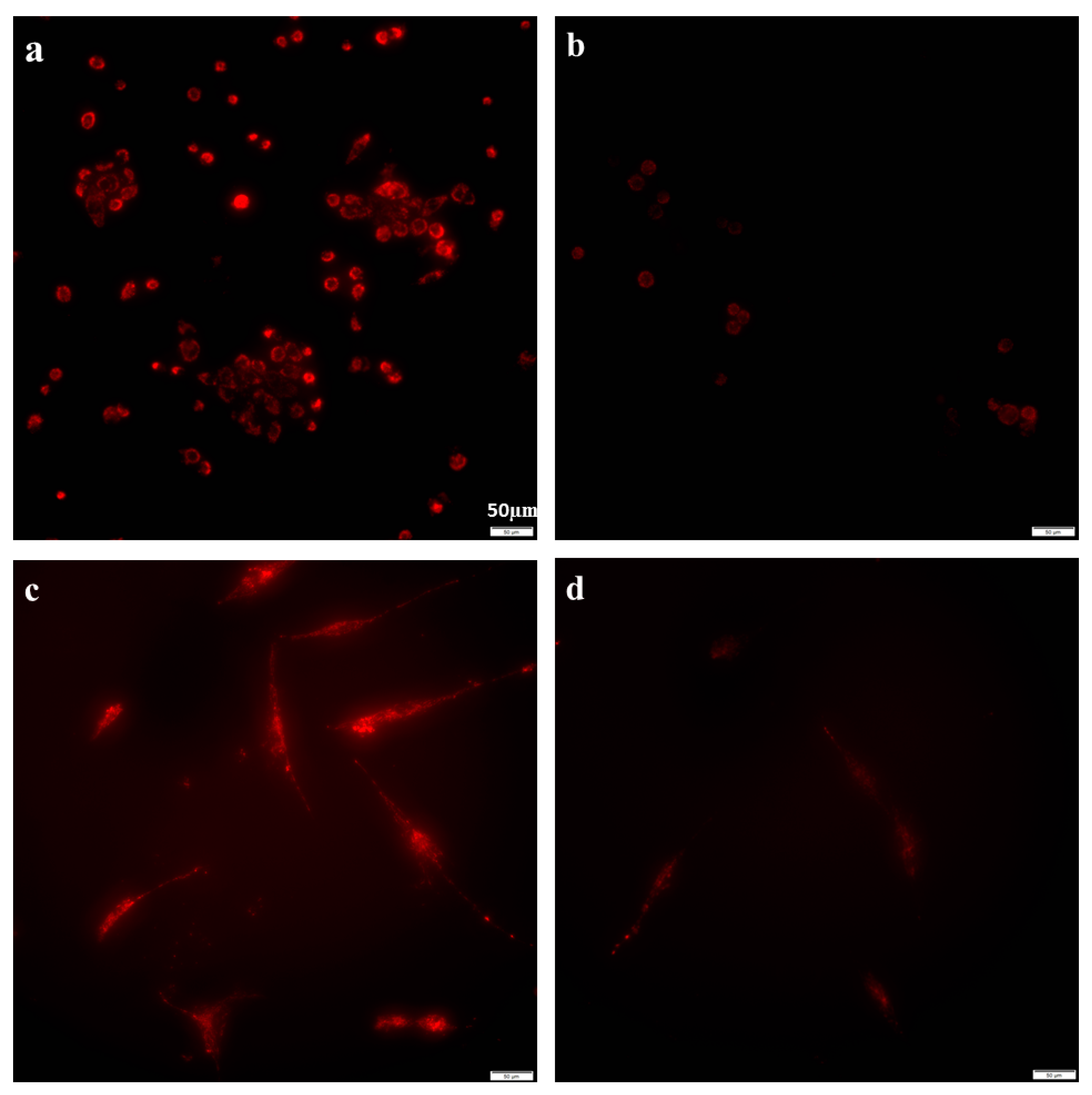 Antibiotics 08 00110 g002