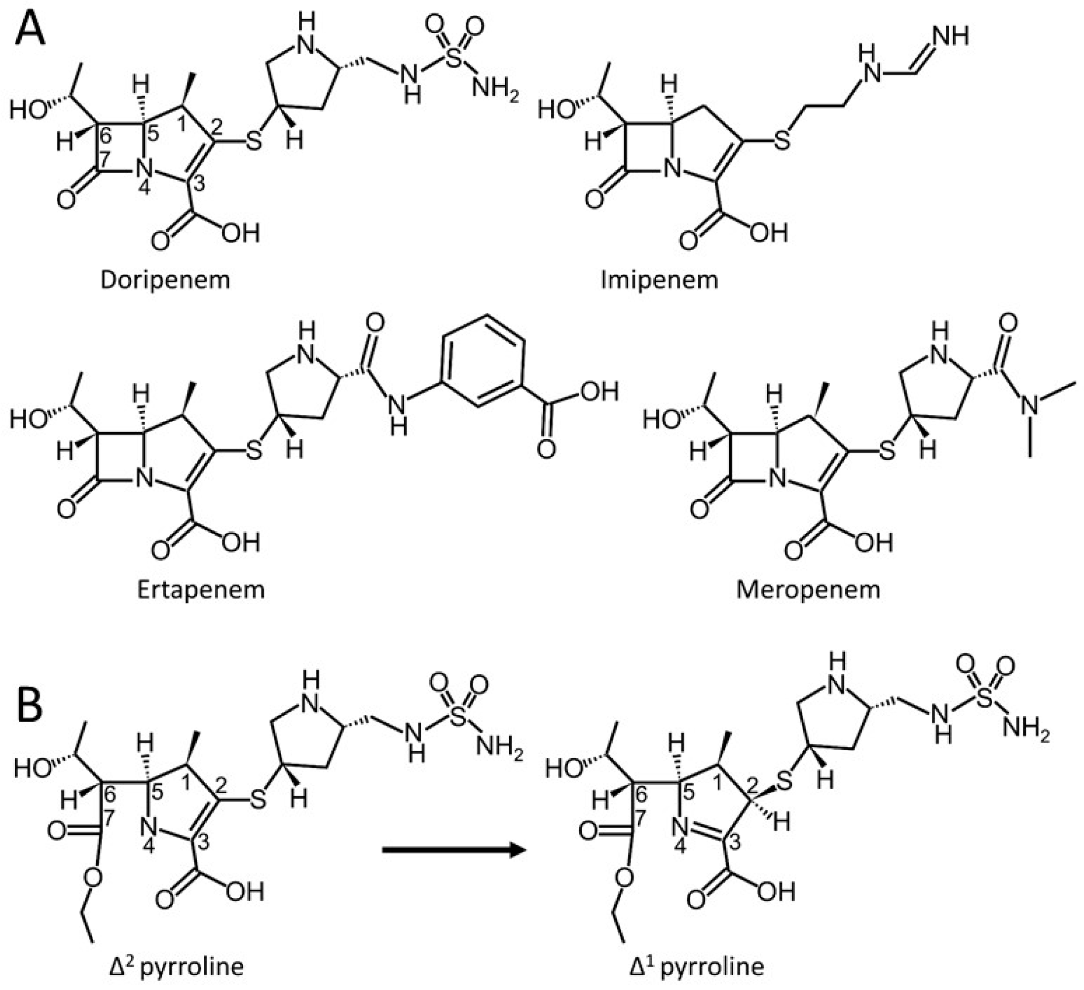 Antibiotics 08 00145 g001