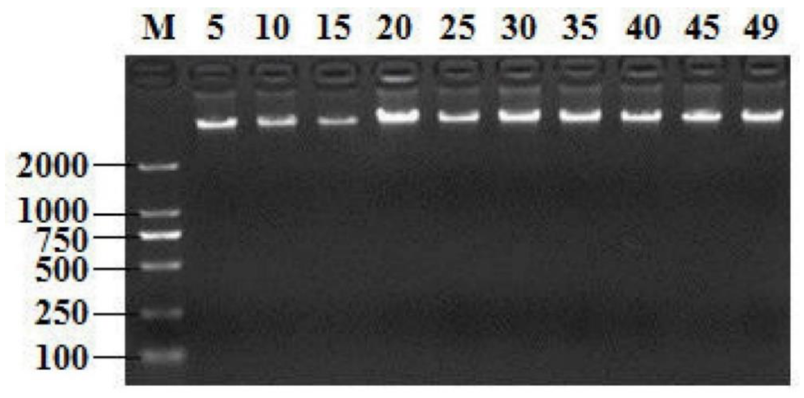 Antibiotics 08 00151 g001