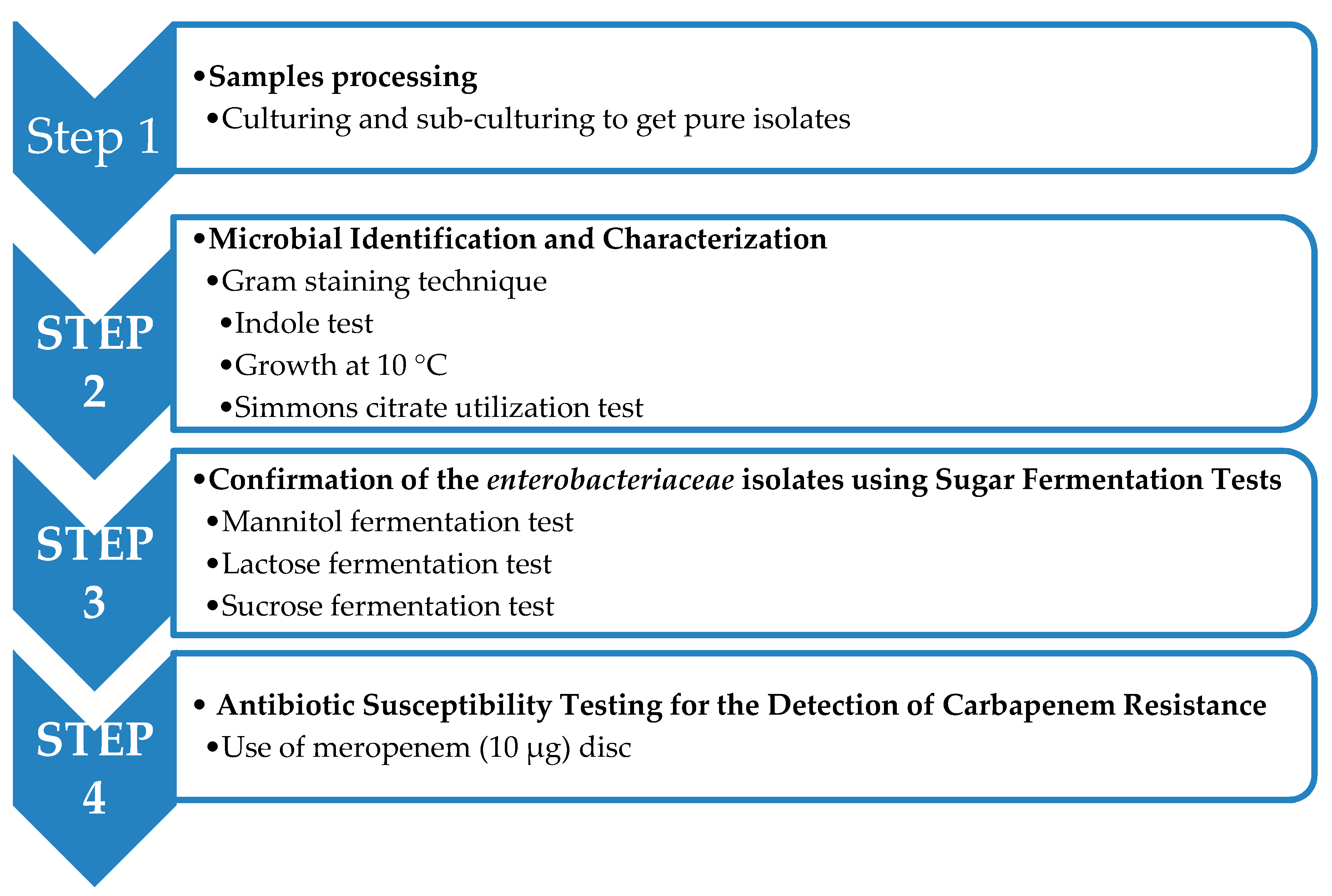 Antibiotics 08 00156 g001