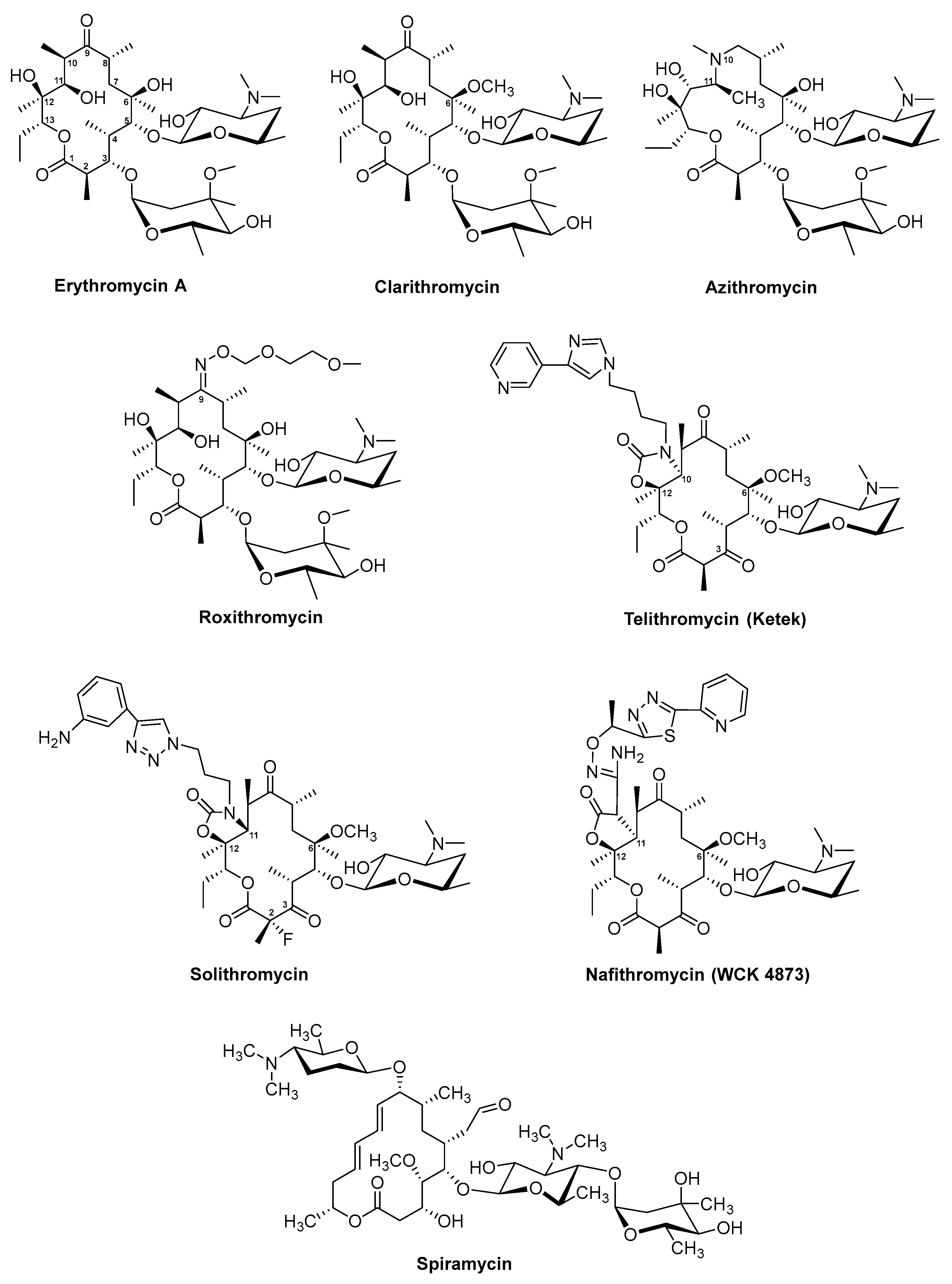 Antibiotics 08 00157 g002
