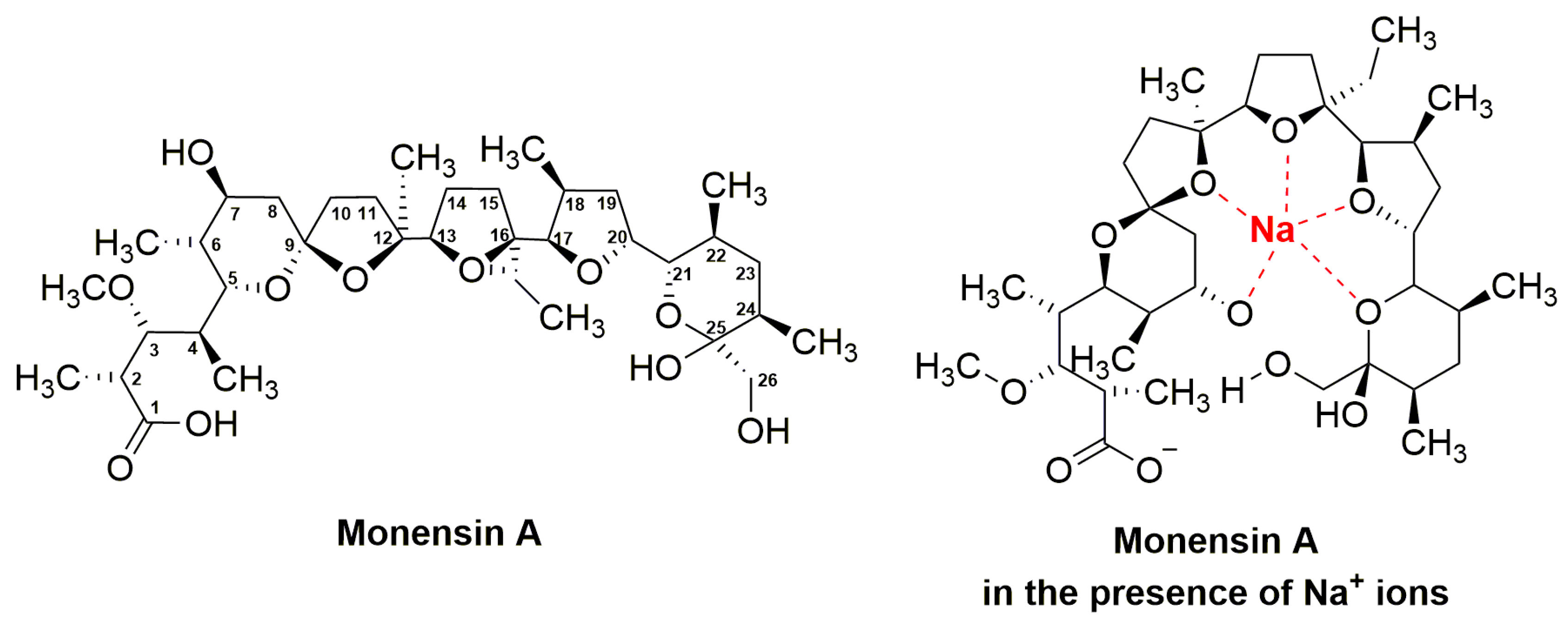 Antibiotics 08 00157 g004