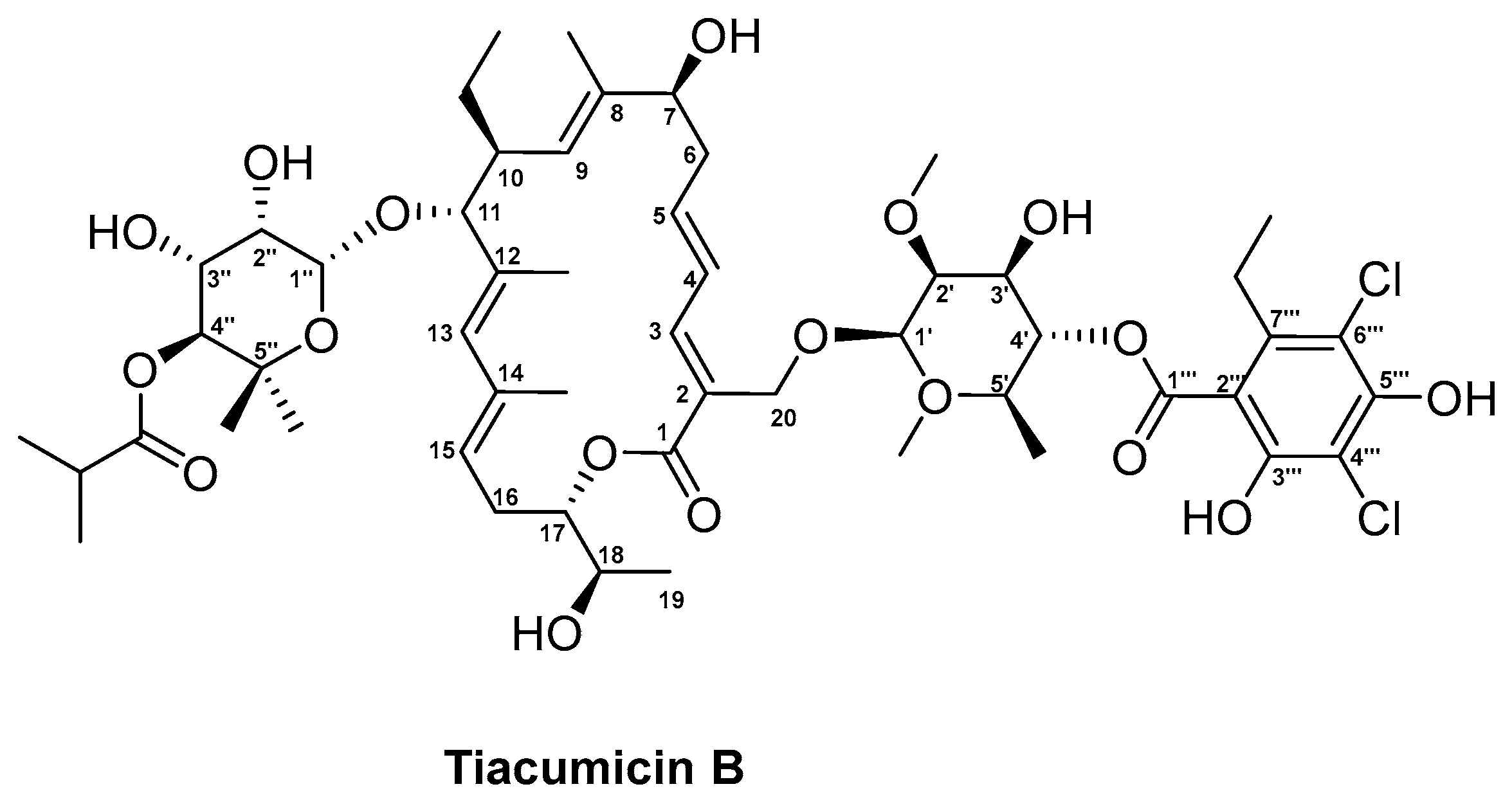 Antibiotics 08 00157 g005