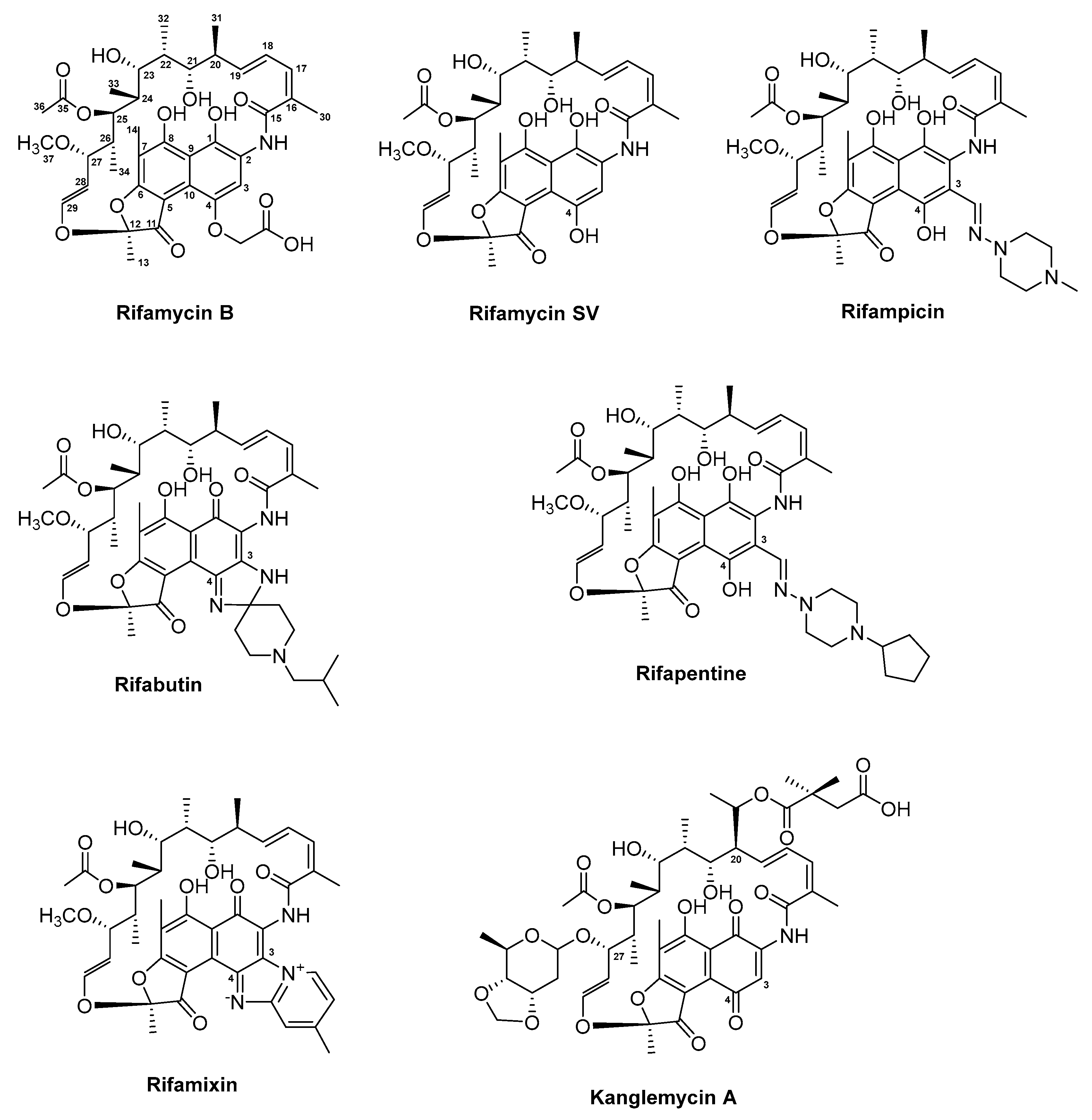 Antibiotics 08 00157 g006