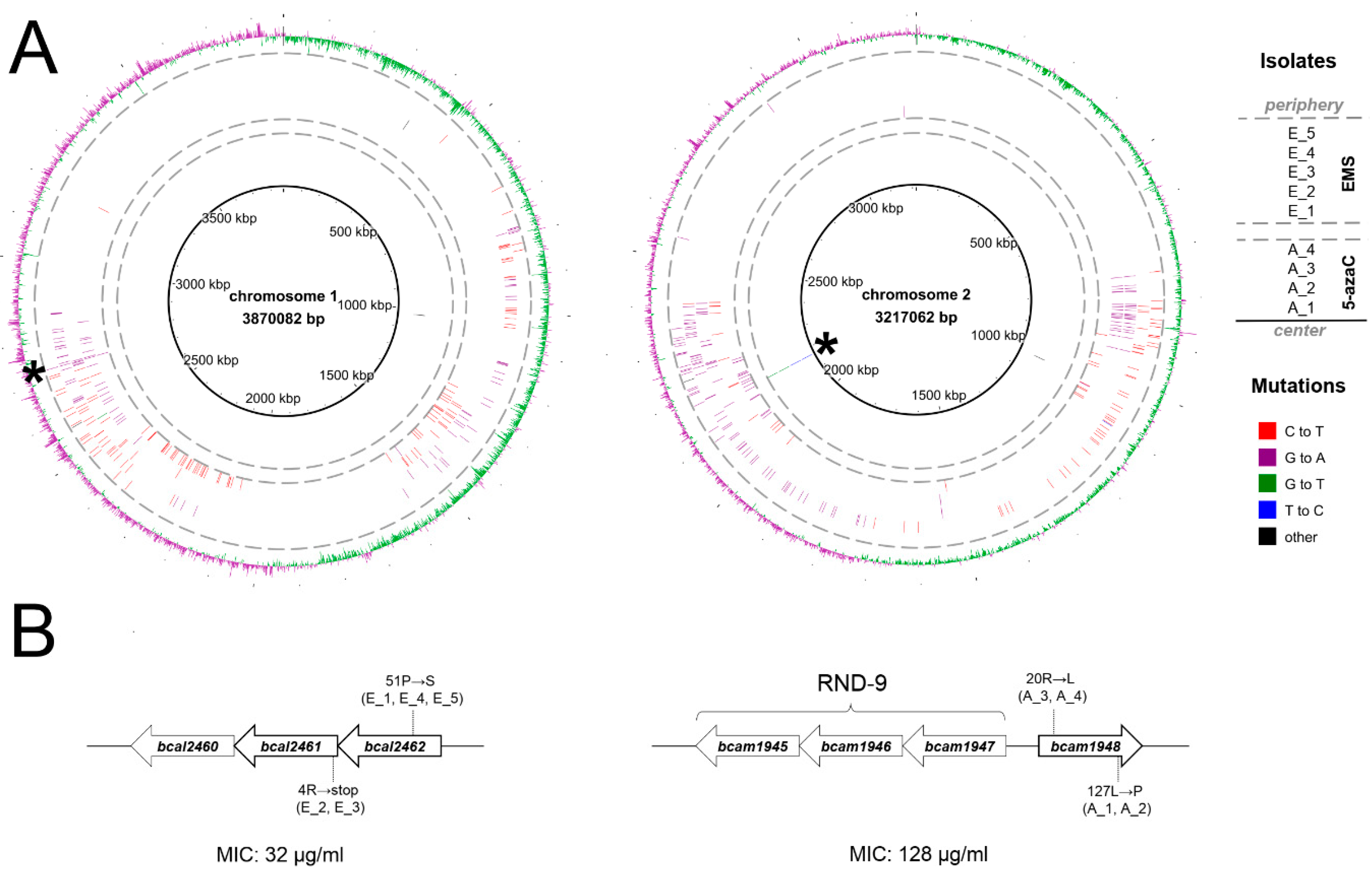 Antibiotics 08 00159 g001