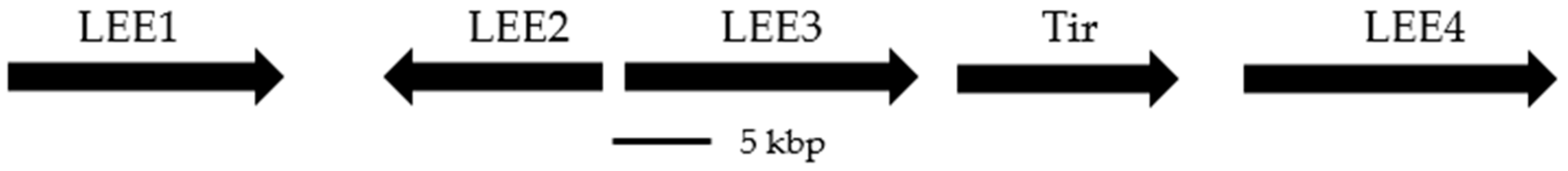 Antibiotics 08 00162 g002