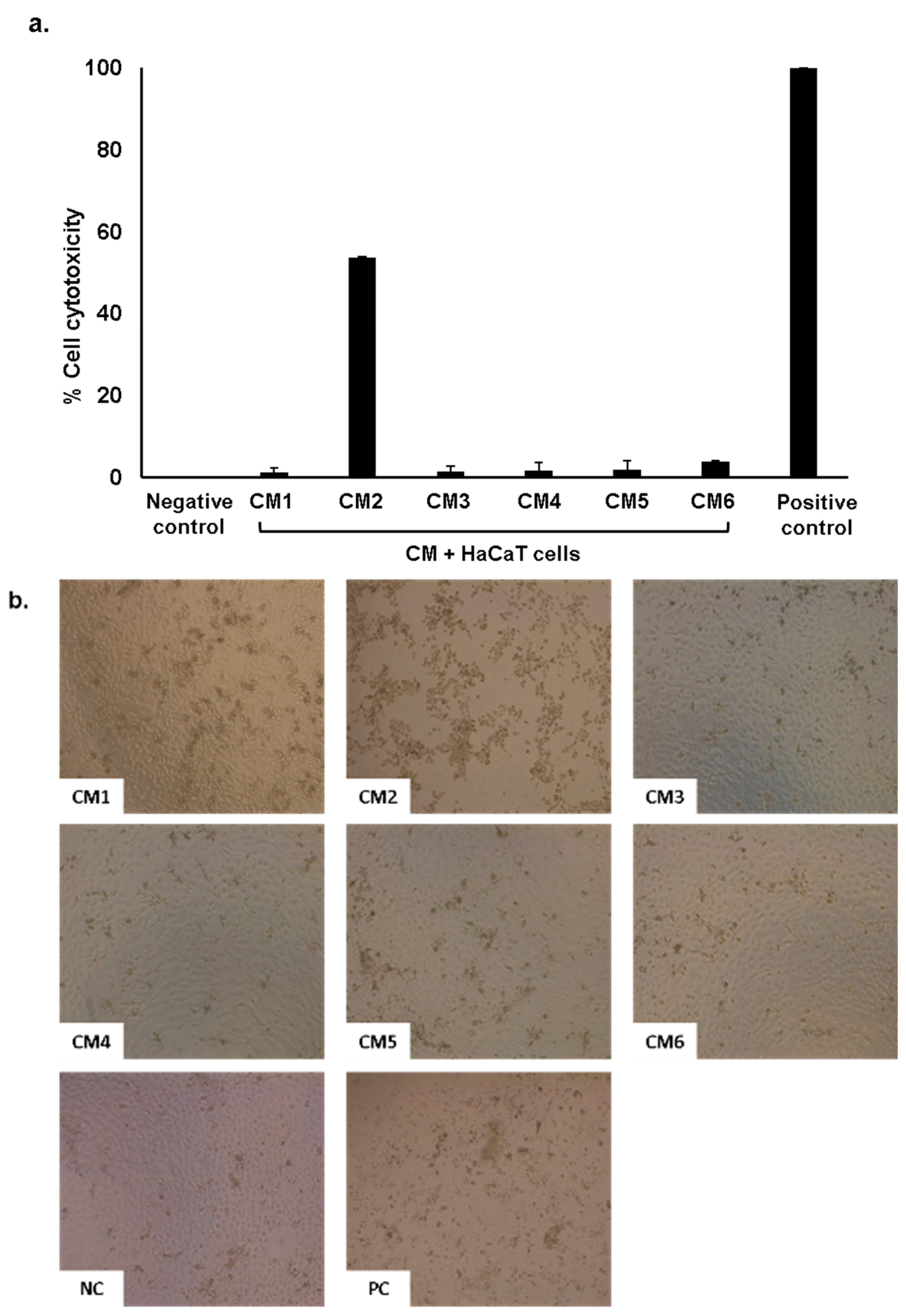 Antibiotics 08 00164 g004