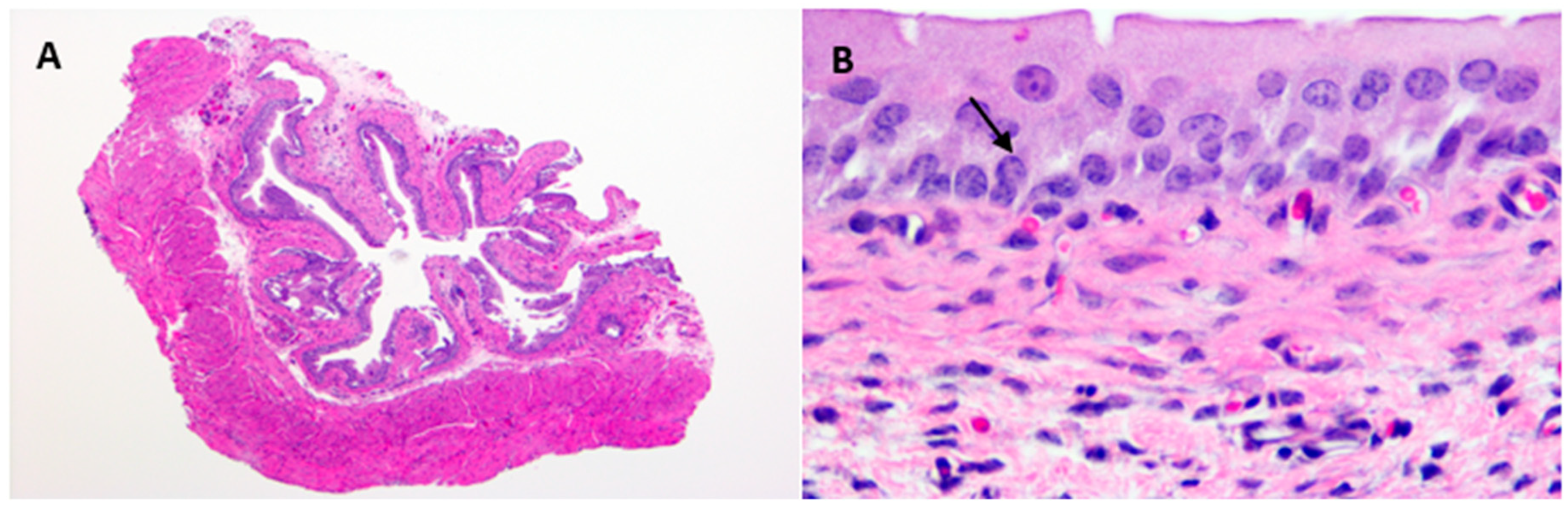 Antibiotics 08 00170 g003a